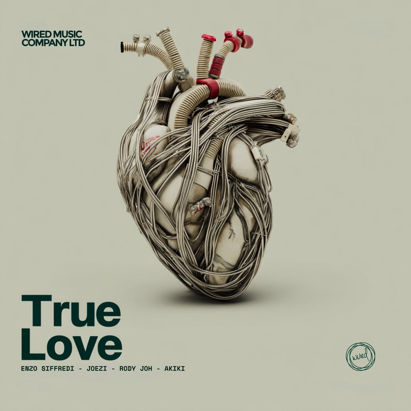 Cover - Enzo Siffredi, AKIKI, Joezi, Rody Joh - True Love feat. AKIKI (Extended Mix)
