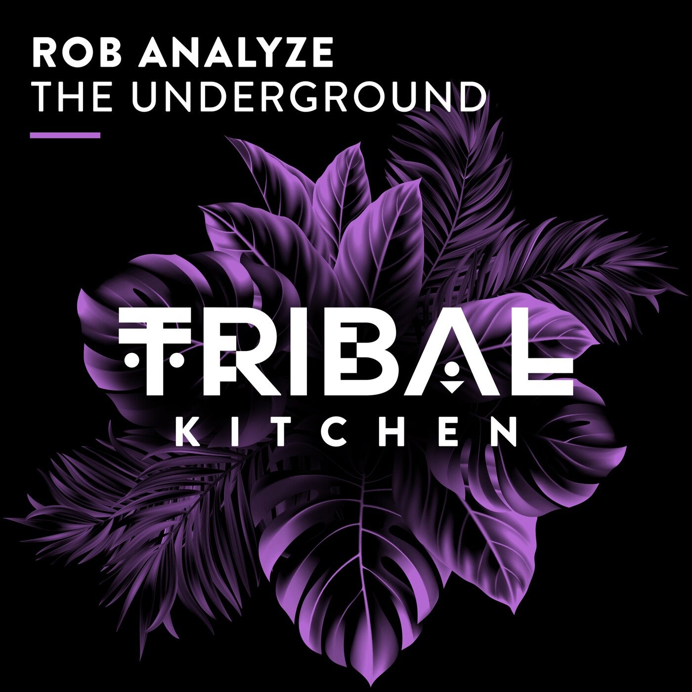 Cover - Rob Analyze - The Underground (Extended Mix)