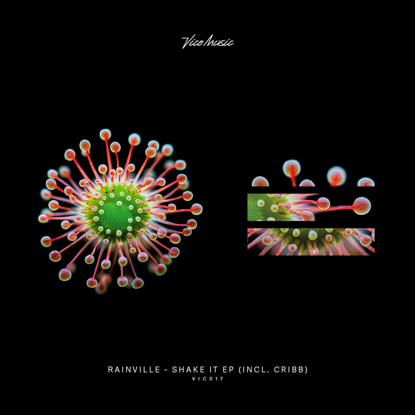 Cover - Cribb, RAINVILLE - Blue Tint (Original Mix)