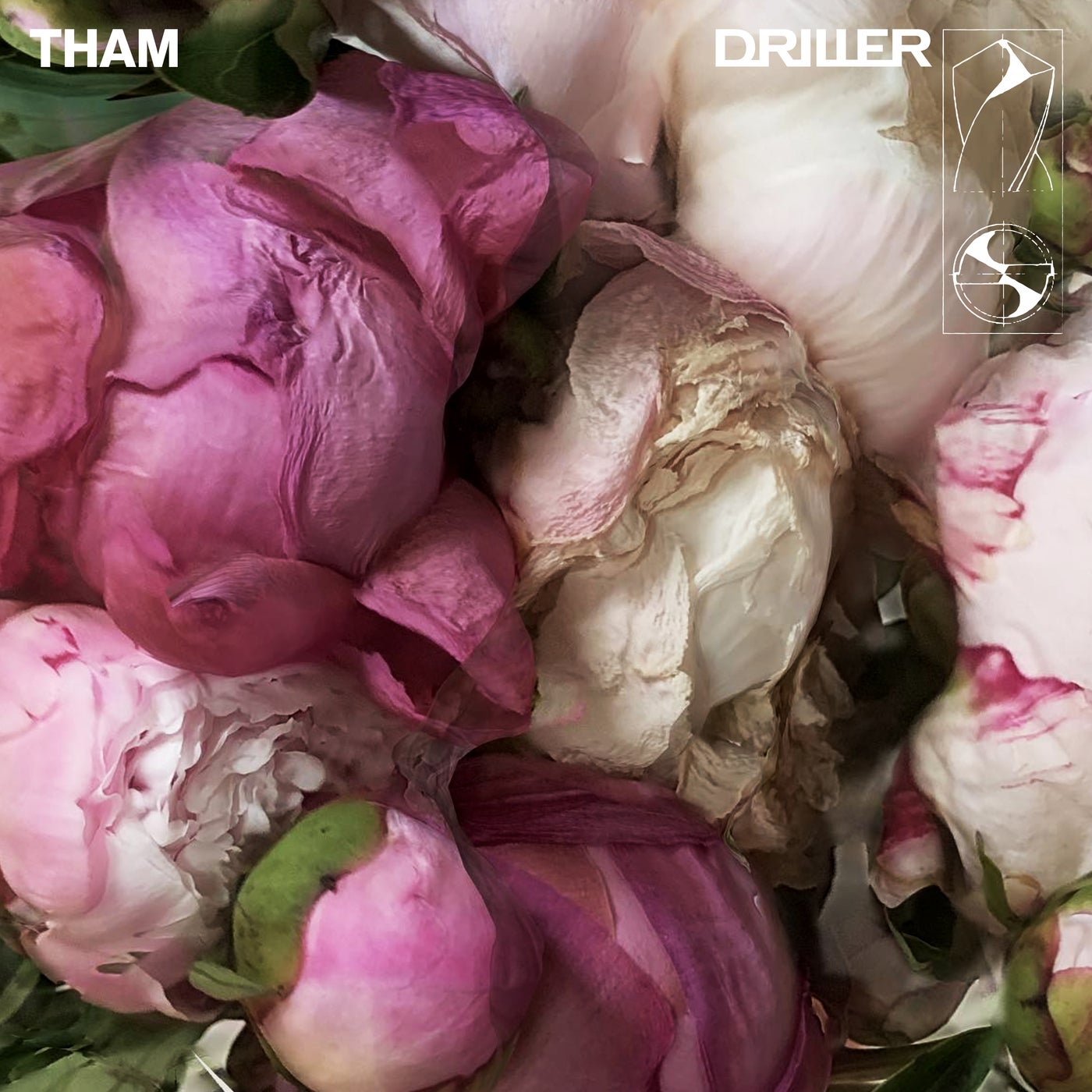 Cover - Tham - World of Rave (Original Mix)