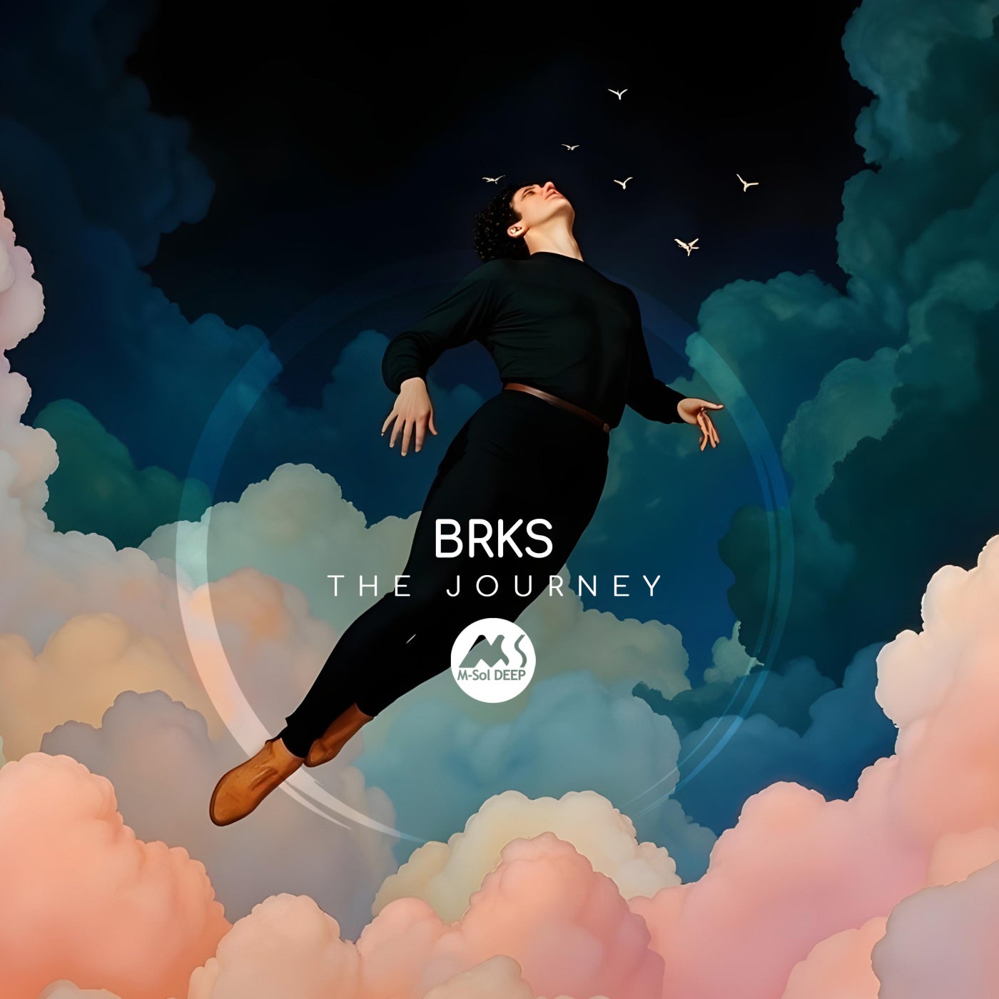 Cover - BRKS, M-Sol DEEP - The Journey (Original Mix)
