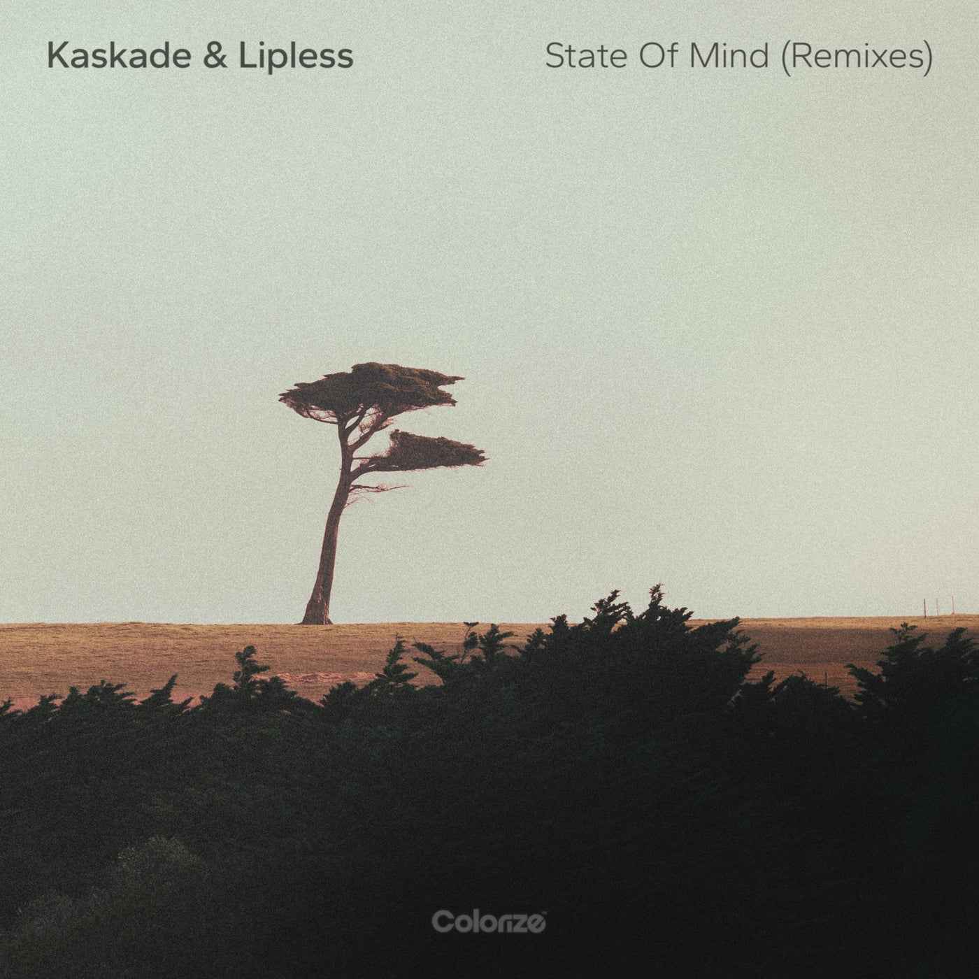 Cover - Kaskade, Lipless - State Of Mind (Faodail Extended Remix)