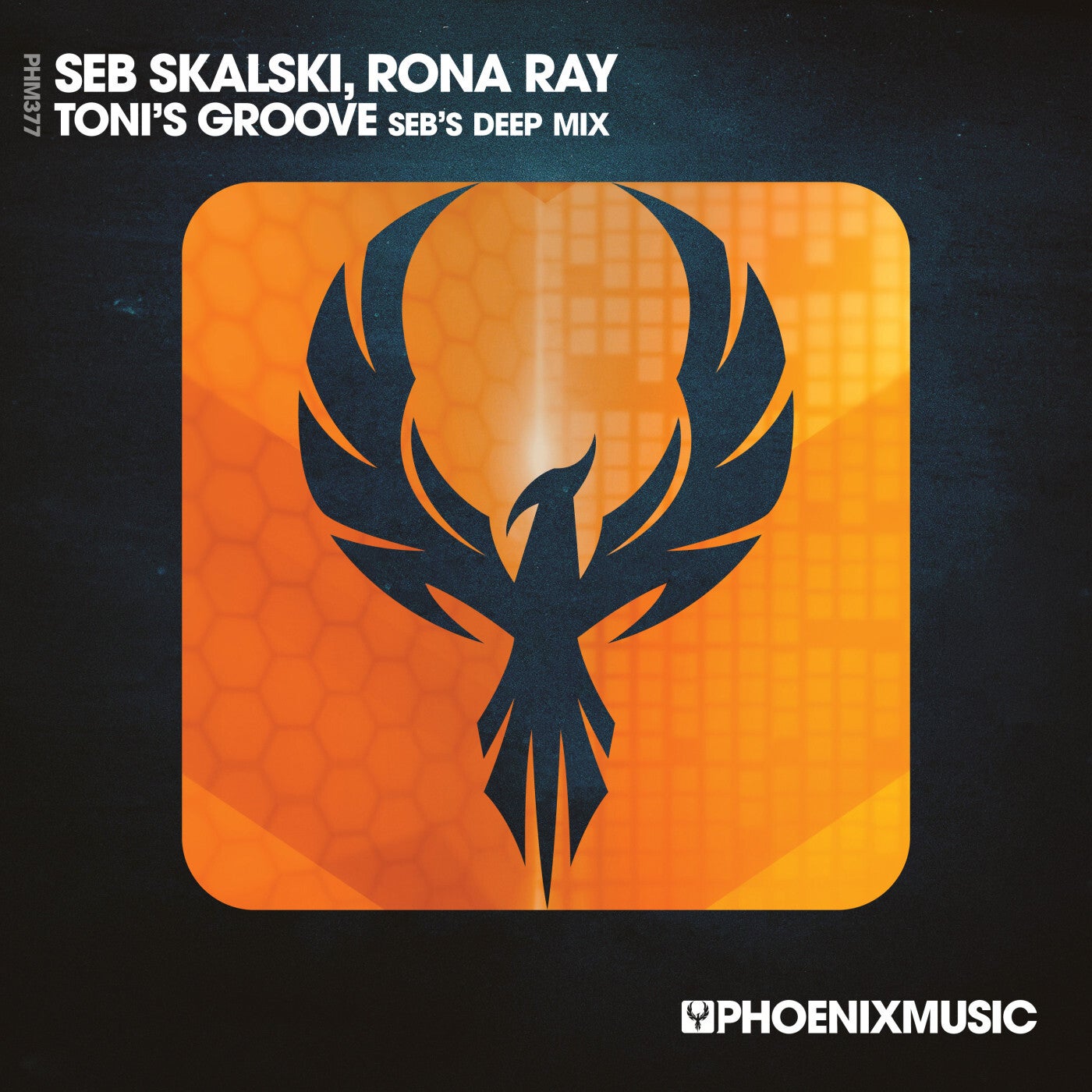 Cover - Seb Skalski, Rona Ray - Toni's Groove (Seb's Deep Extended Mix)
