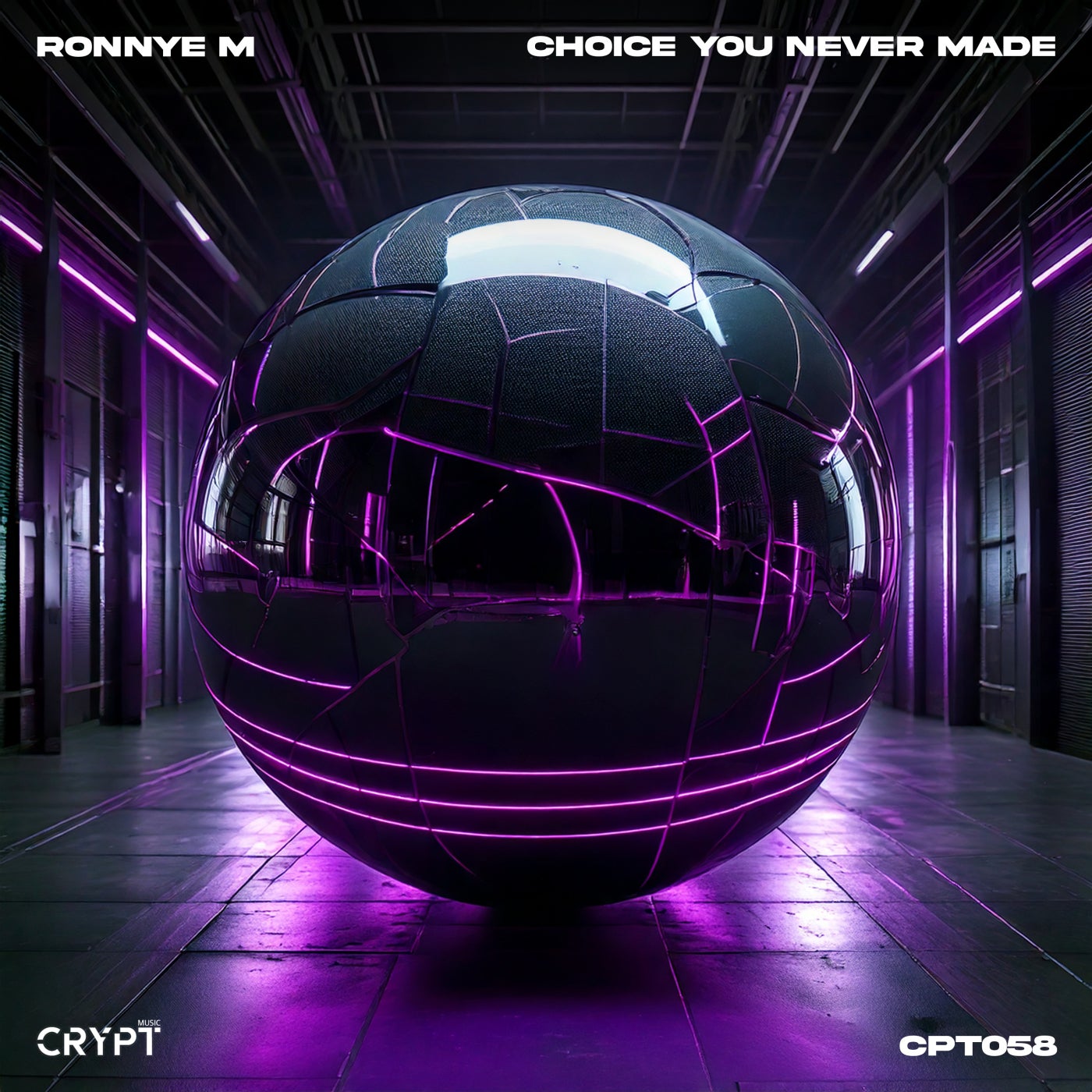 Cover - Ronnye M - Choice You Never Made (Original Mix)