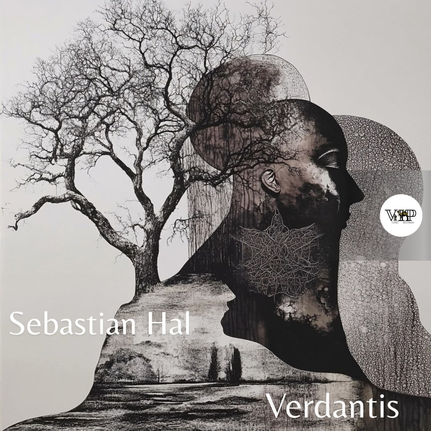 Cover - CamelVIP, Sebastian Hal - Verdantis (Original Mix)