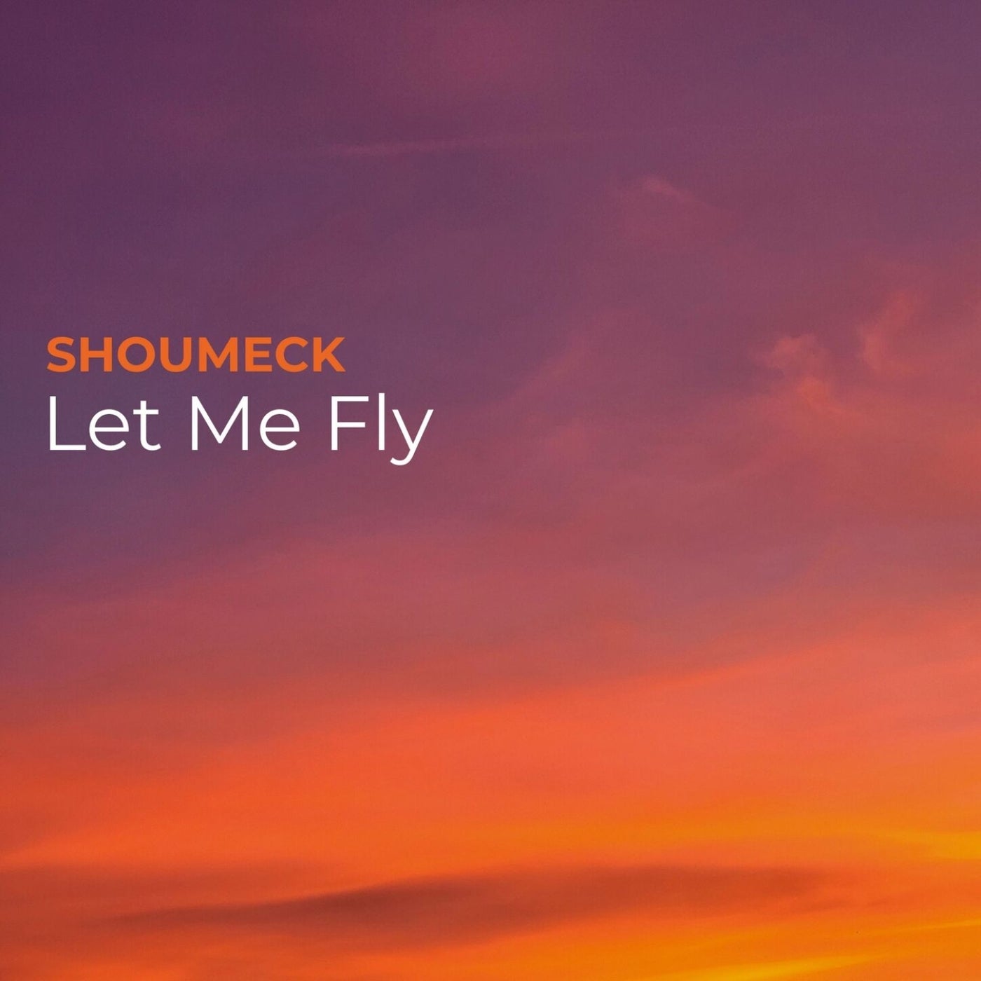 Cover - Shoumeck - Let Me Fly (Original Mix)