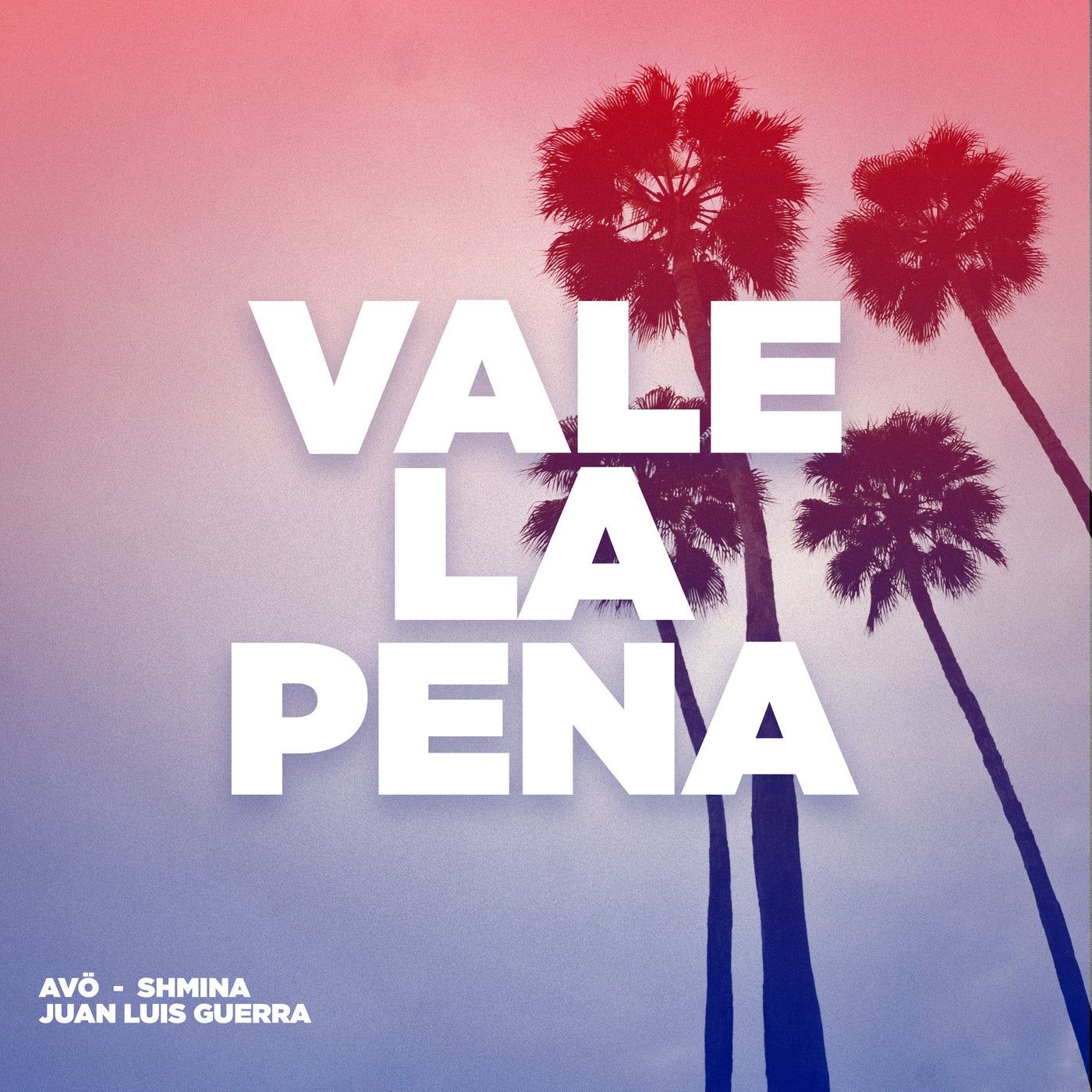 Cover - Juan Luis Guerra 4.40, AVÖ (PT), Shmina - Vale La Pena (Afro Mix - Extended)