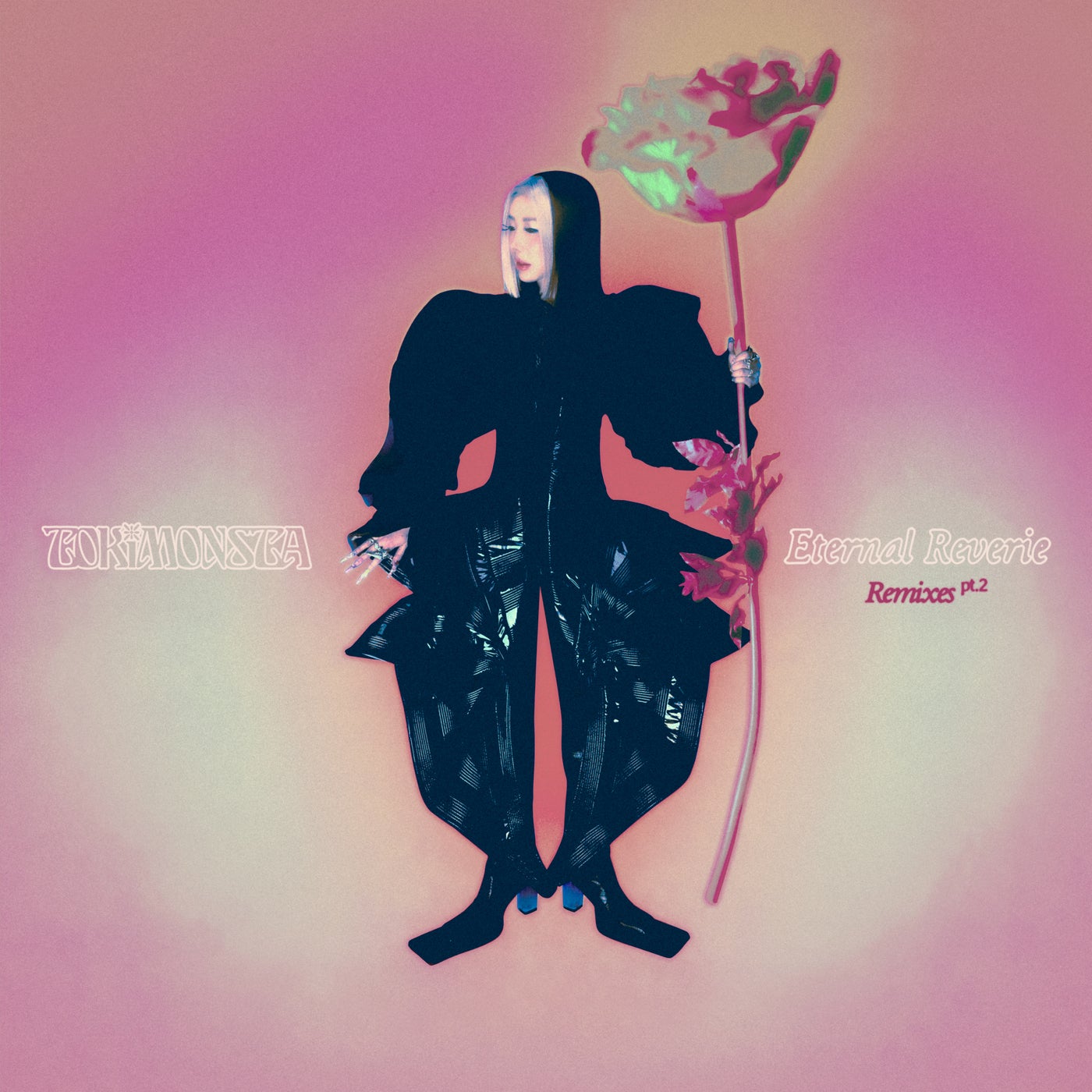 Cover - TOKiMONSTA, Cakes Da Killa - Switch It (Effy Remix)