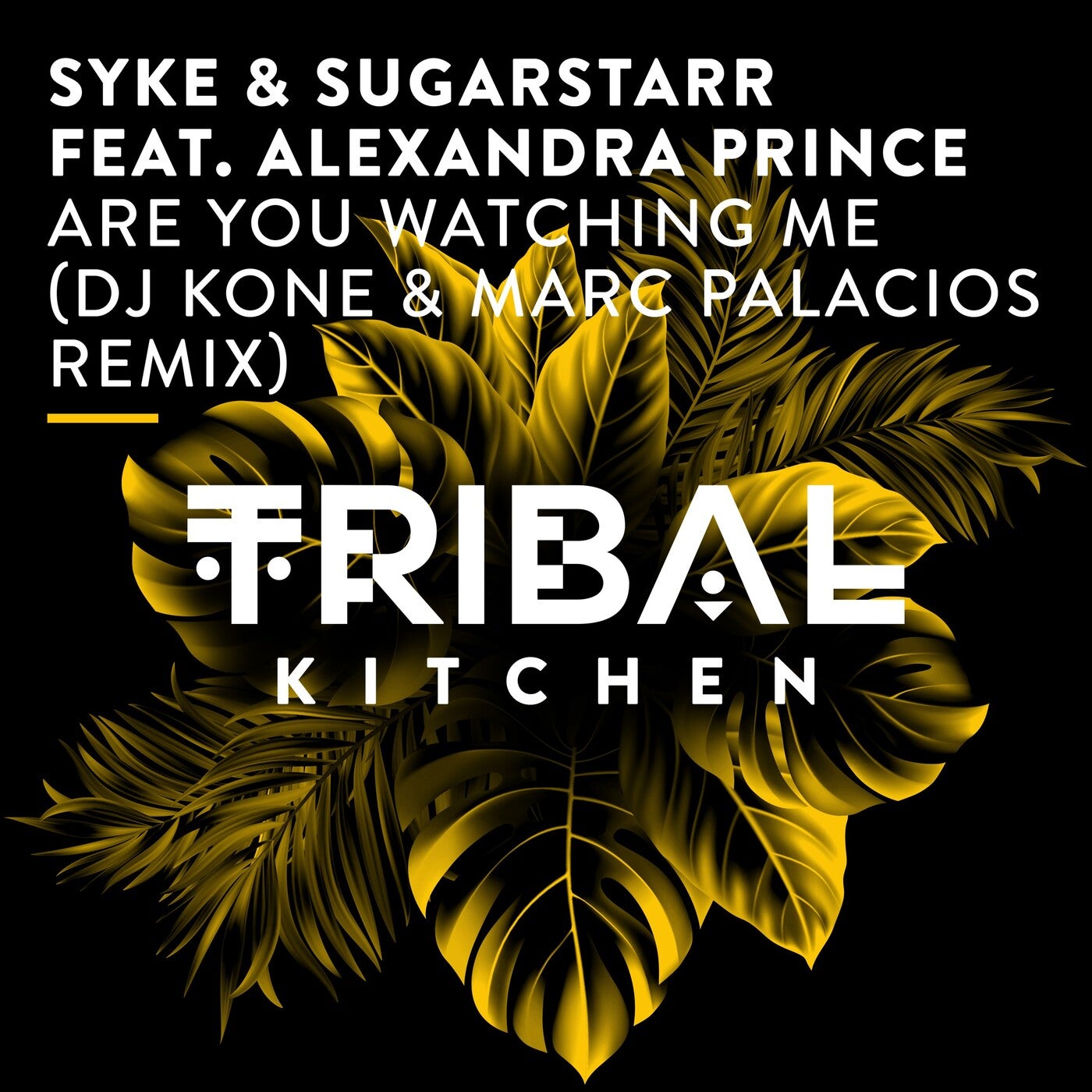 Cover - Alexandra Prince, Syke, Sugarstarr - Are You Watching Me feat. Alexandra Prince (DJ Kone & Marc Palacios Extended Remix)