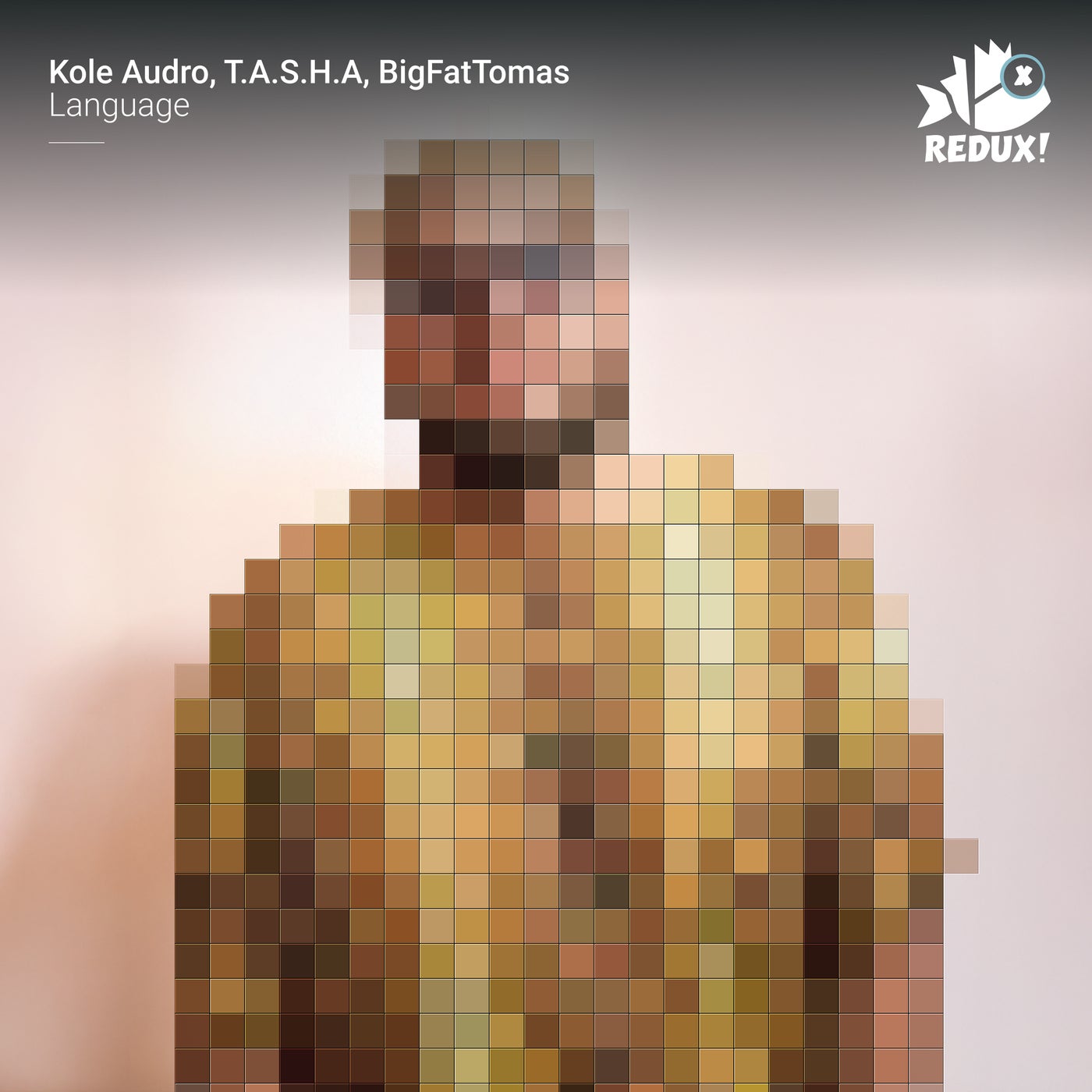 Cover - Kole Audro, T.A.S.H.A, BigFatTomas - Language (Original Mix)