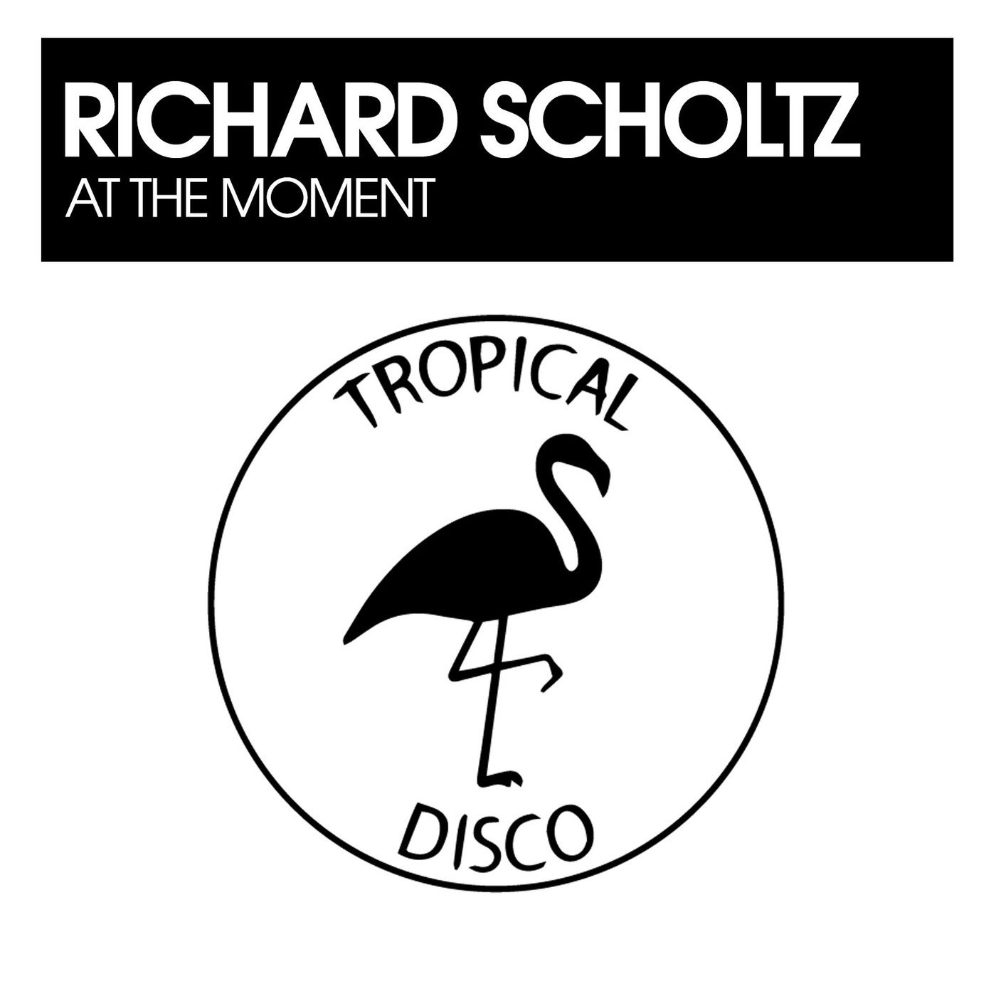 Cover - Richard Scholtz - At The Moment (Original Mix)