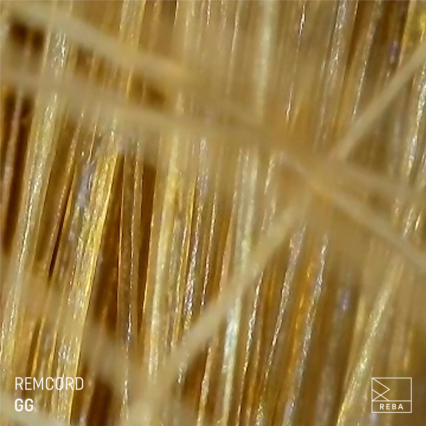 Cover - Remcord - The Loop (Original Mix)