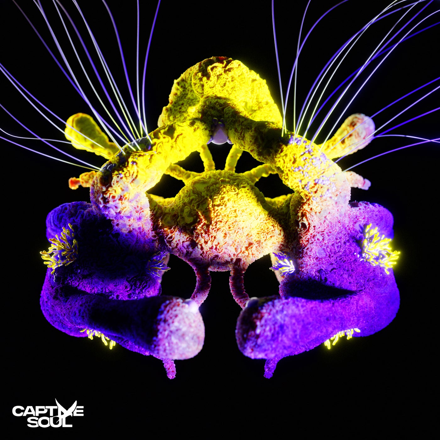 Cover - Carlo Whale, Th;en - Fragments of Light (Extended Mix)