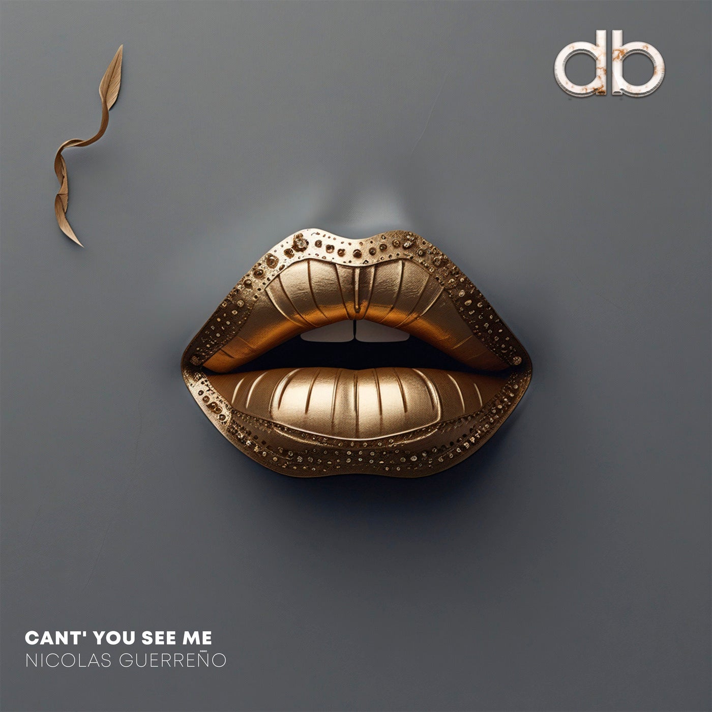 Cover - Nicolas Guerreño - Can't You See Me (Original Mix)