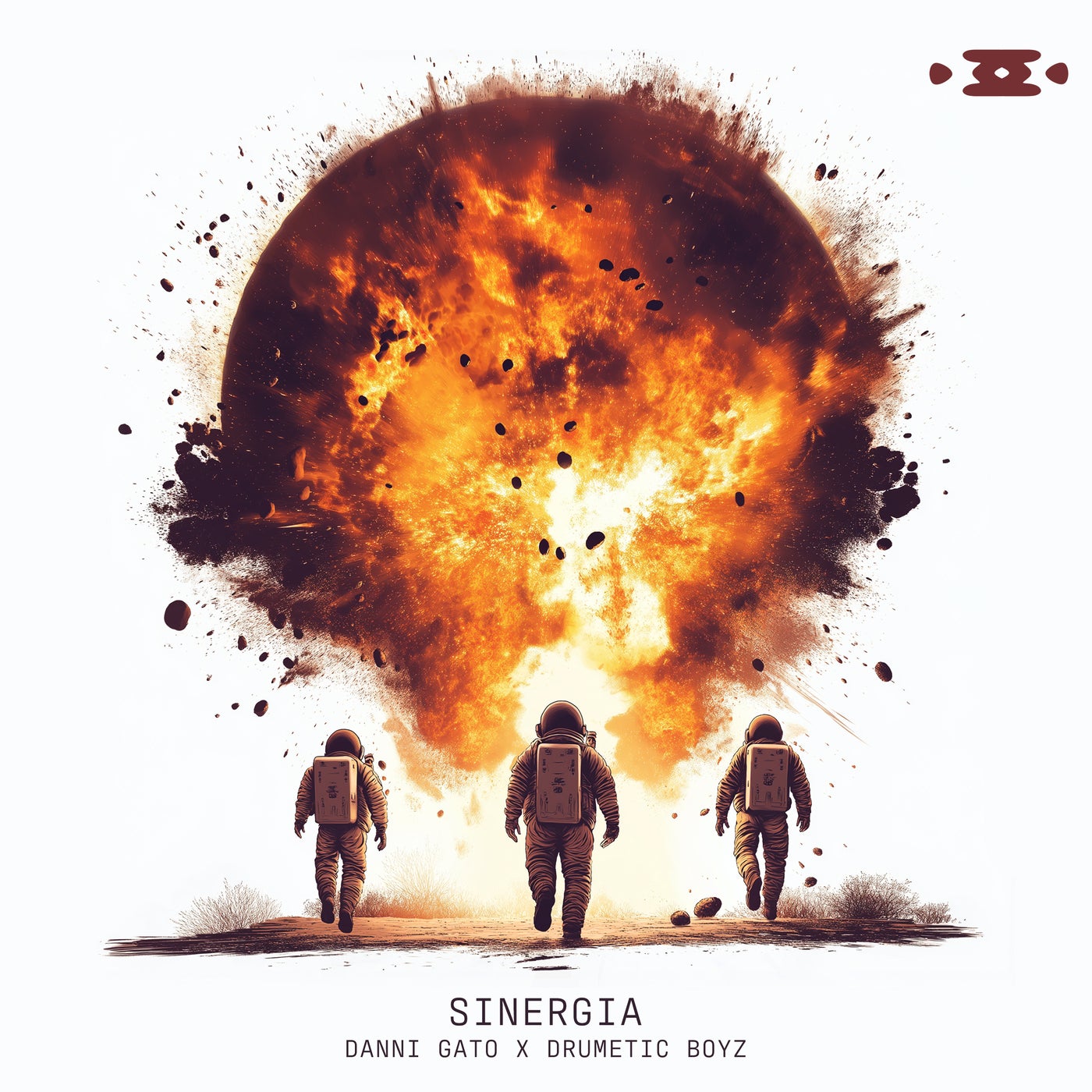 Cover - Drumetic Boyz, Danni Gato - Sinergia (Original Mix)