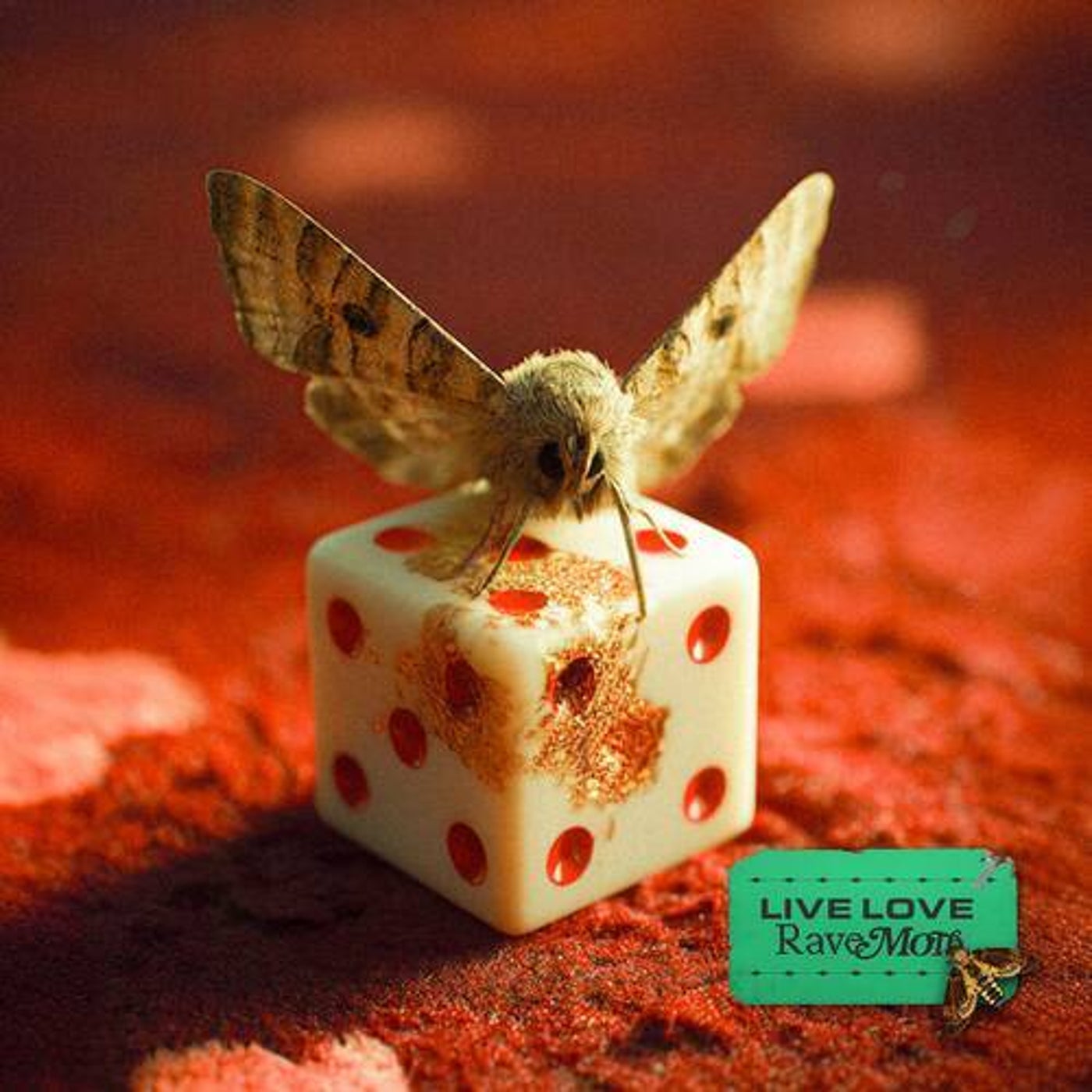 Cover - Moai, Cosmickey, Nuki, Pastello, 5STA, KOKK - Crush (Original Mix)