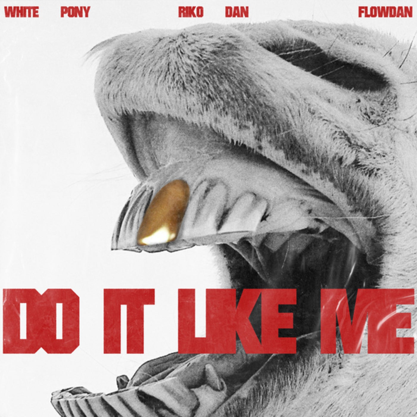 Cover - Riko Dan, Flowdan, White Pony - Do It Like Me (Original Mix)