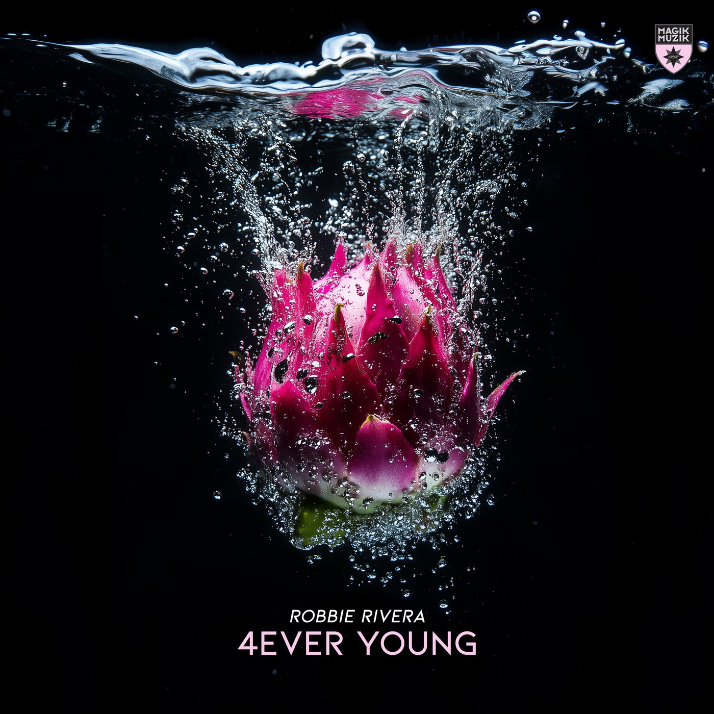 Cover - Robbie Rivera - 4ever Young (Extended Mix)