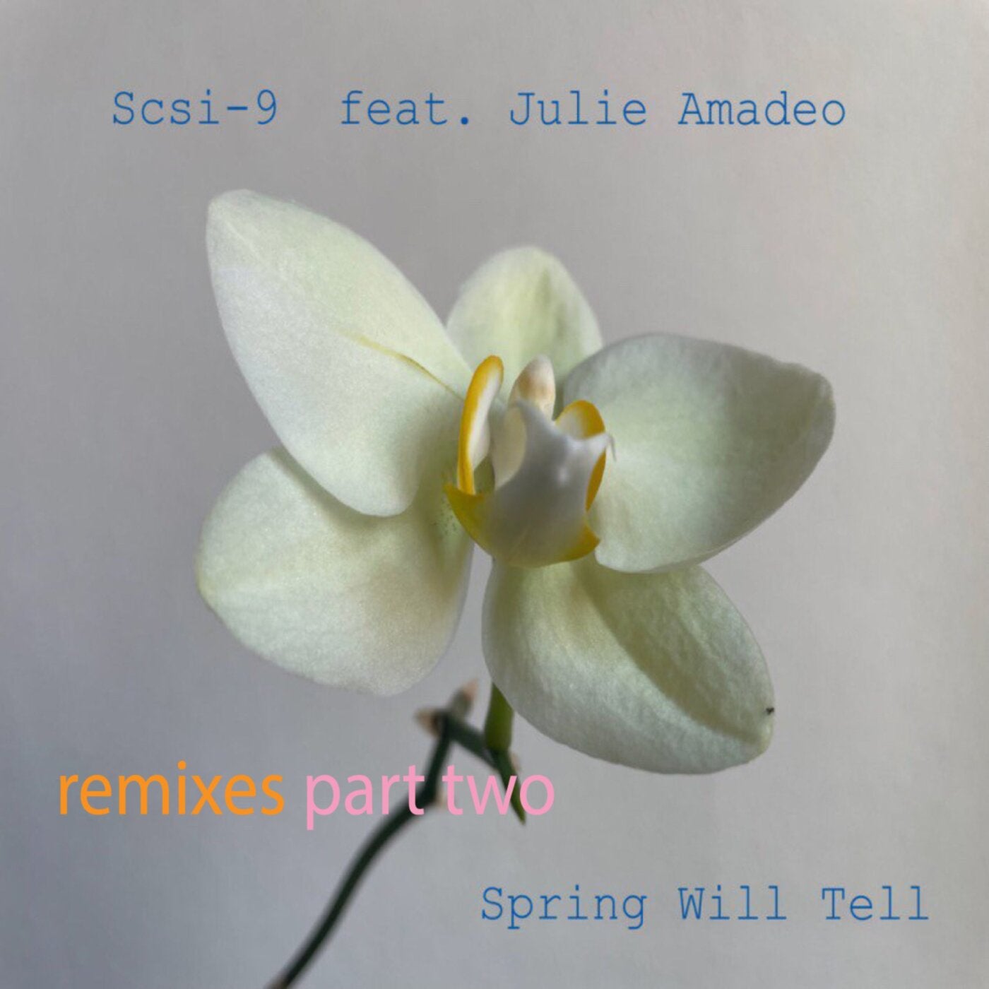 Cover - SCSI-9 - Spring Will Tell (Lawrence Remix)