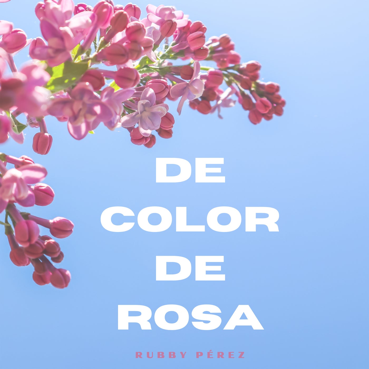 Cover - Yas Cepeda, Rubby Perez - De Color De Rosa (Extended Mix)