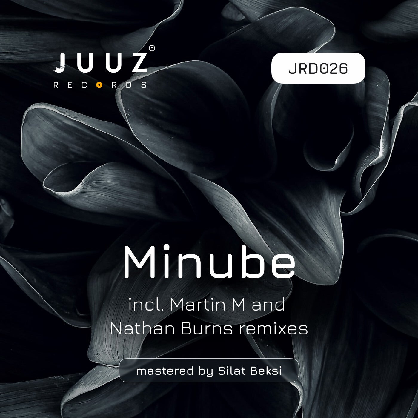 Cover - Minube - System Here (Original Mix)