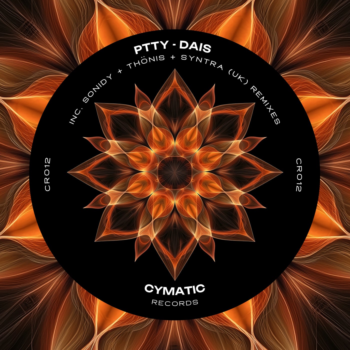 Cover - PTTY - Dais (Original Mix)