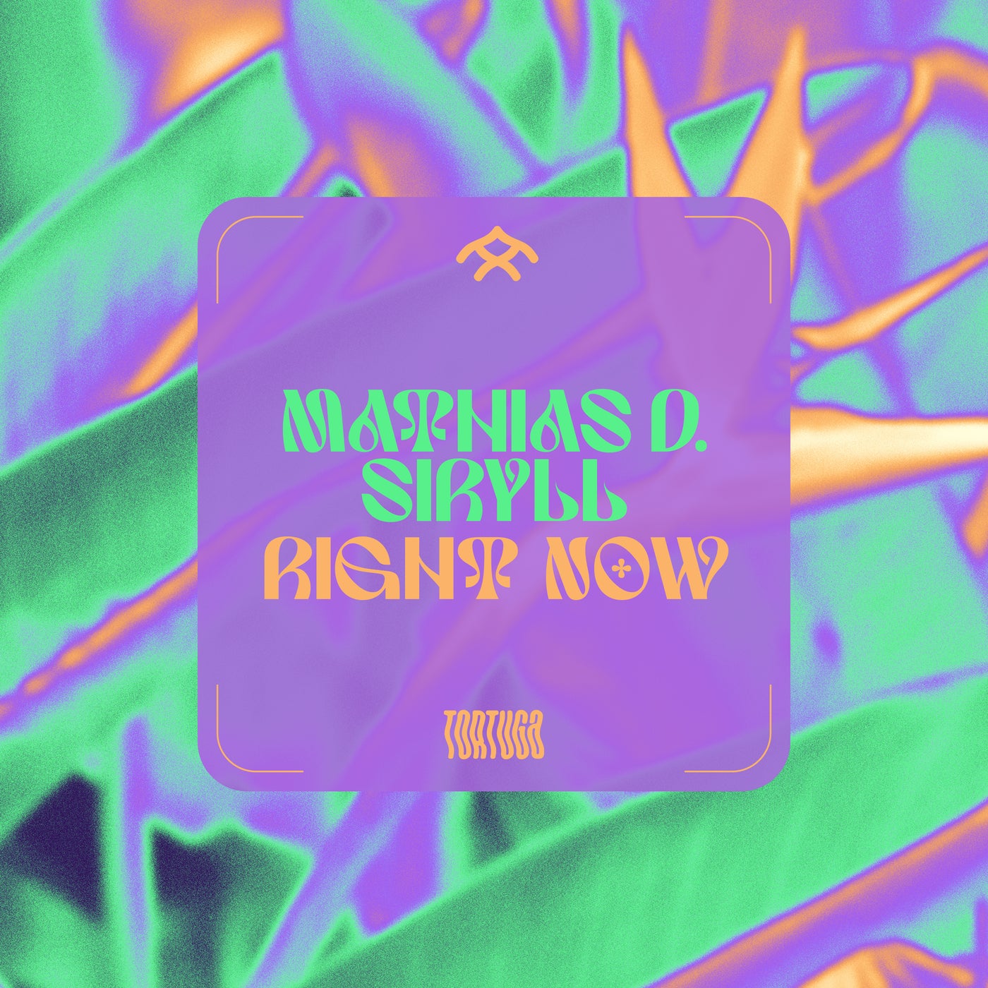 Cover - Mathias D., SirYLL - Right Now (Original Mix)