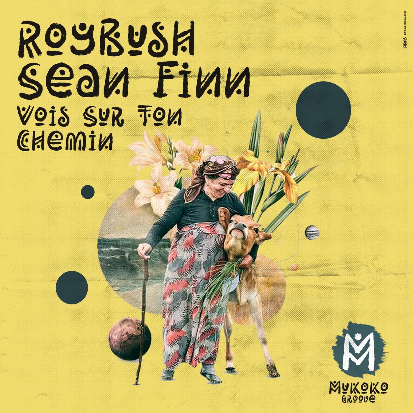 Cover - Sean Finn, Roybush - Vois Sur Ton Chemin (Extended Mix)
