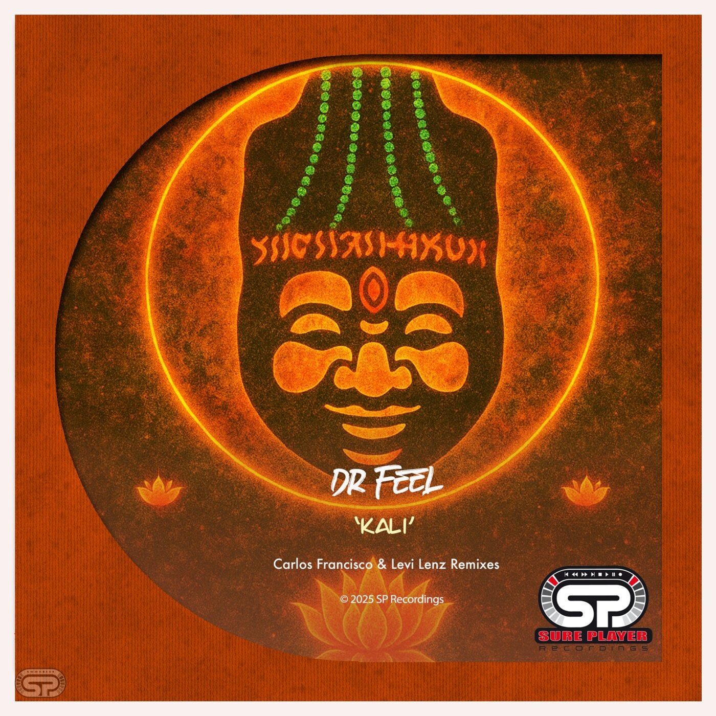 Cover - Dr Feel - KALI (Levi Lenz Remix)