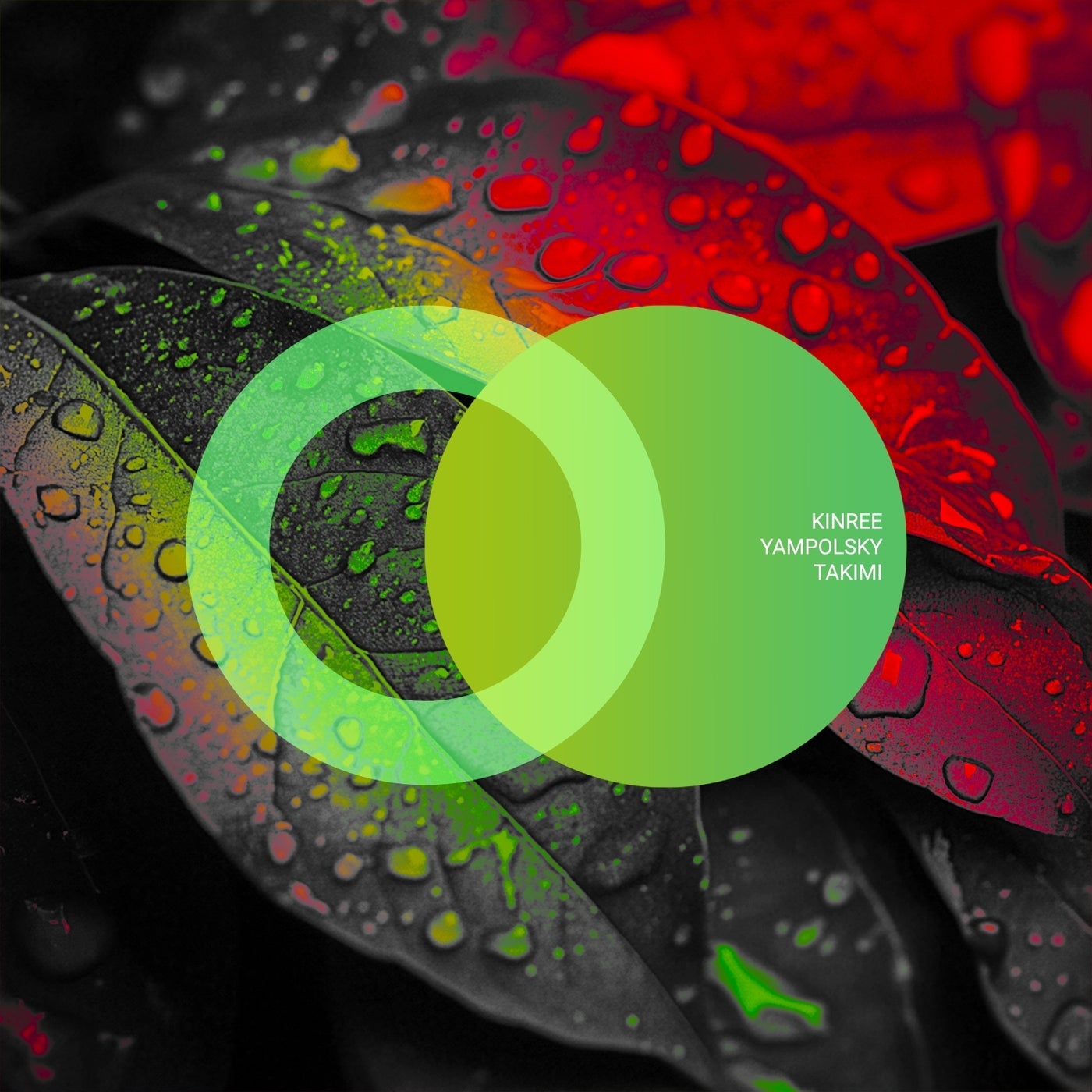 Cover - Kinree - Takimi (Original Mix)