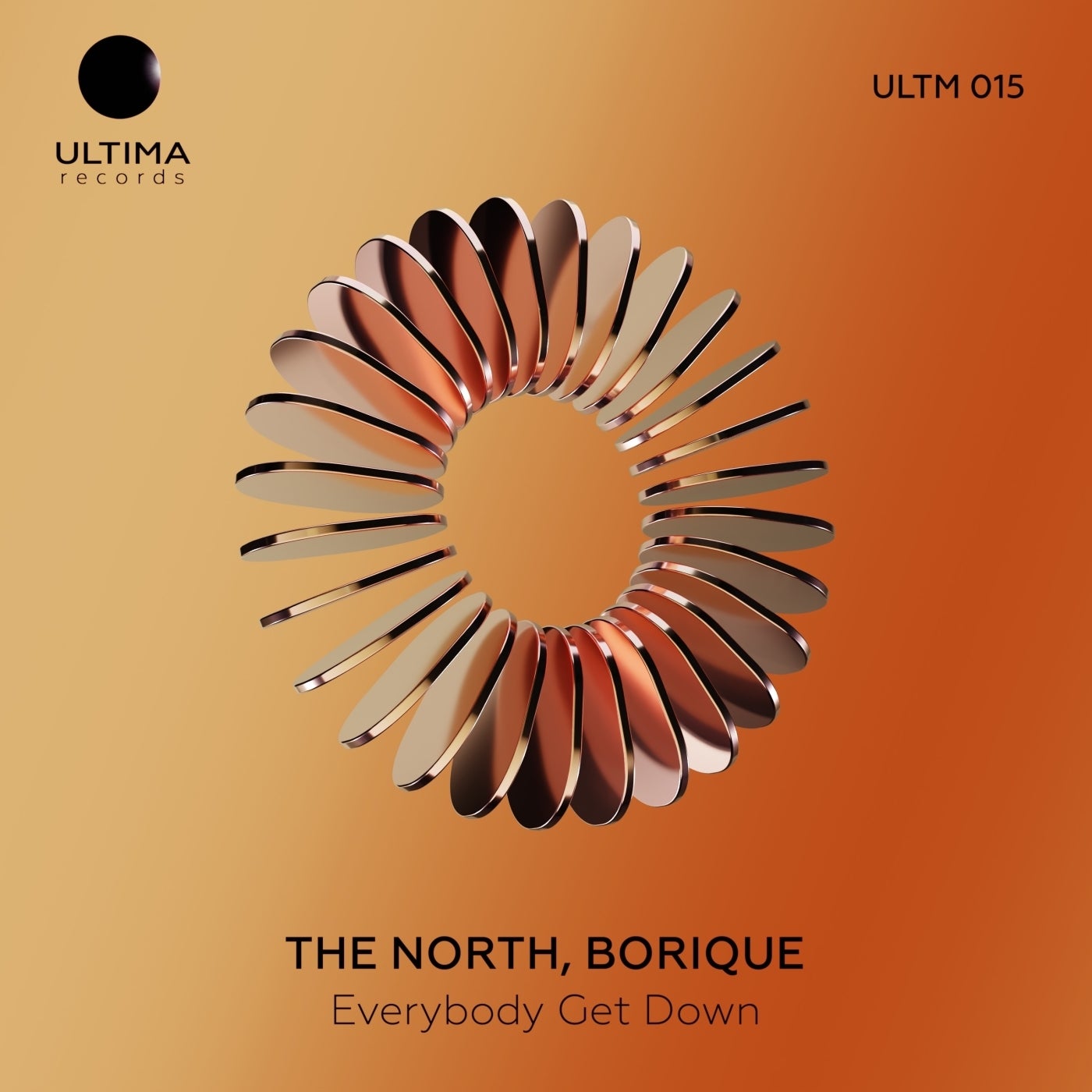 Cover - The North, BoriQue - Everybody Get Down (Original Mix)