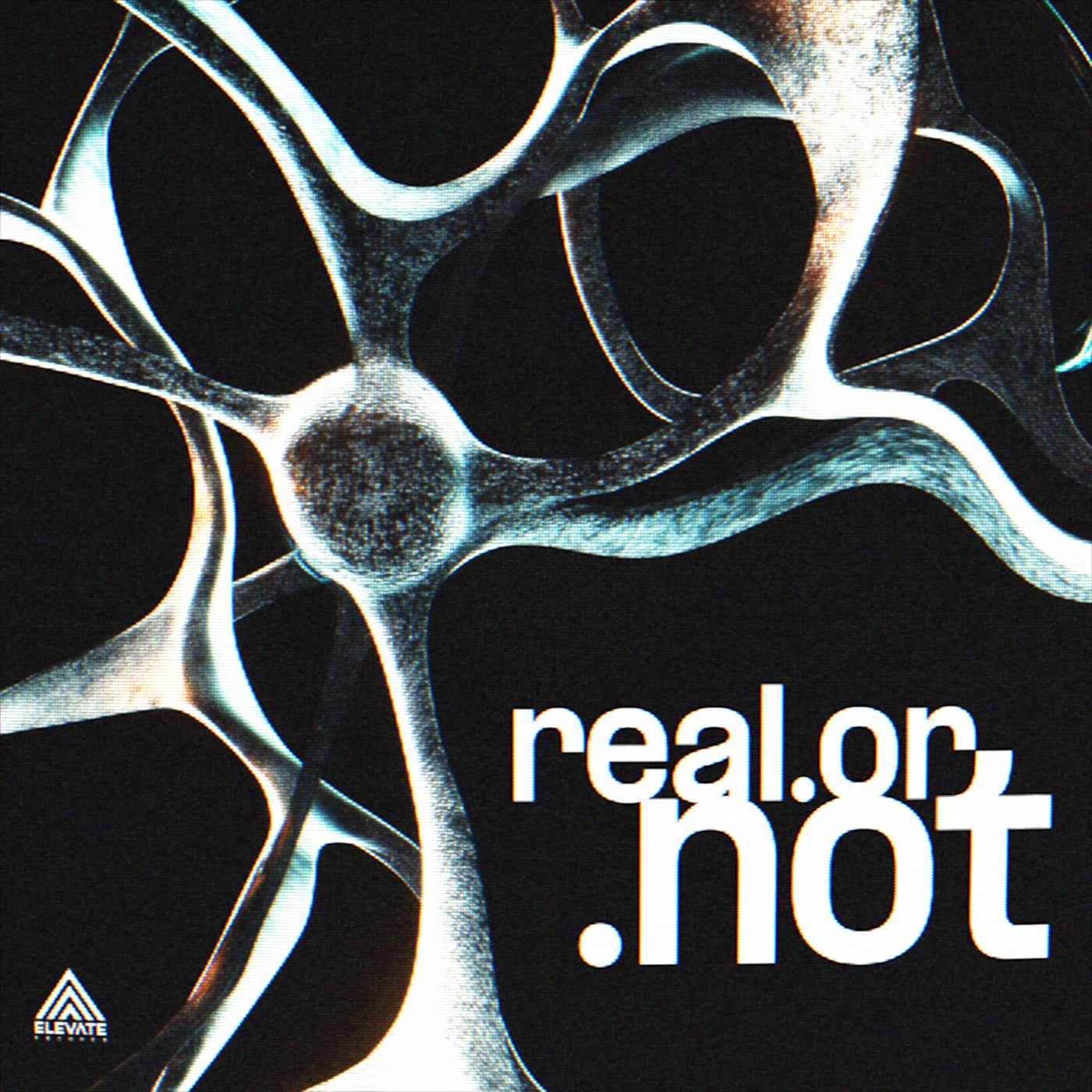 Cover - Skantia - real.or.not (Original Mix)