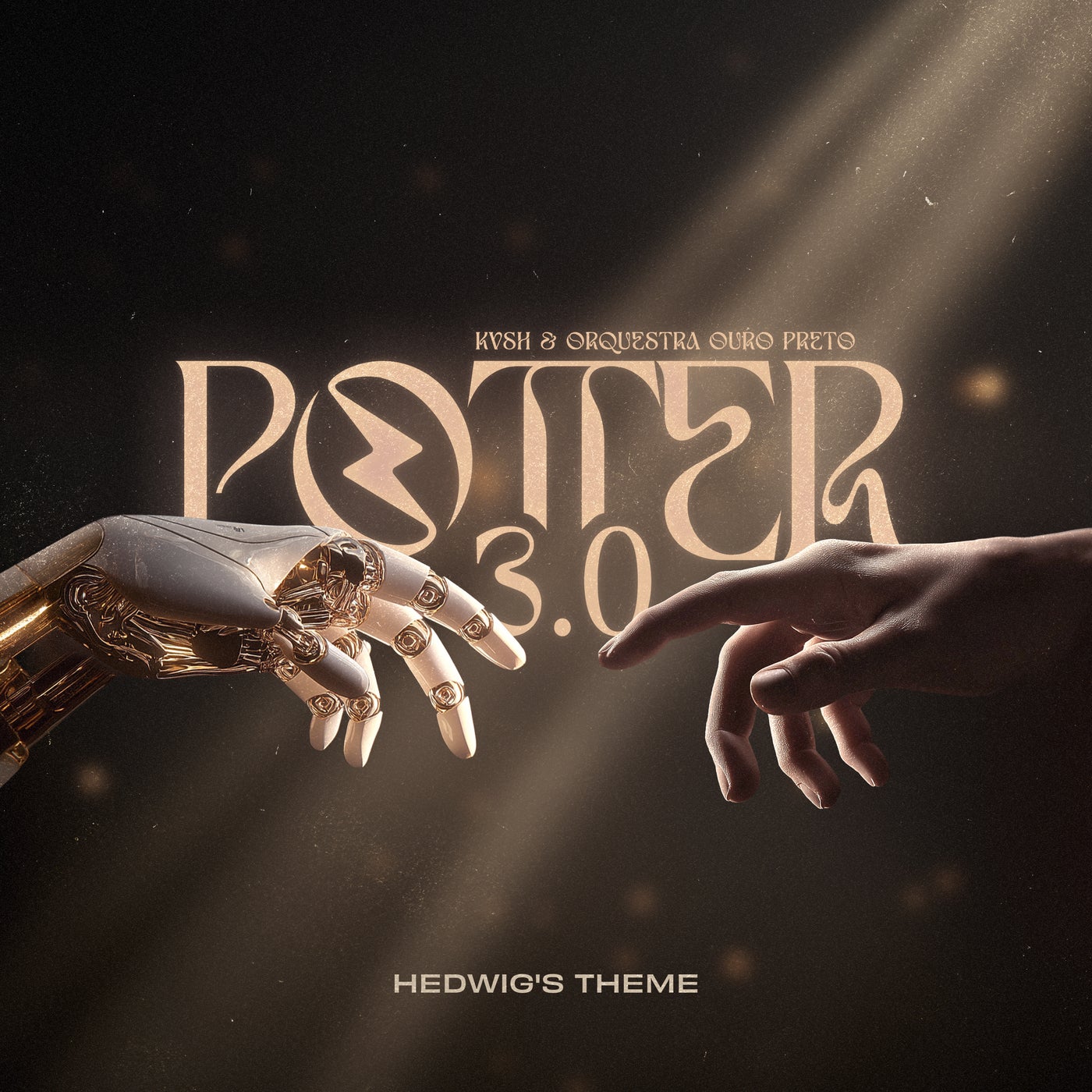 Cover - KVSH, Orquestra Ouro Preto, Maestro Rodrigo Toffolo - Potter 3.0 - Hedwigs Theme (Extended Mix)