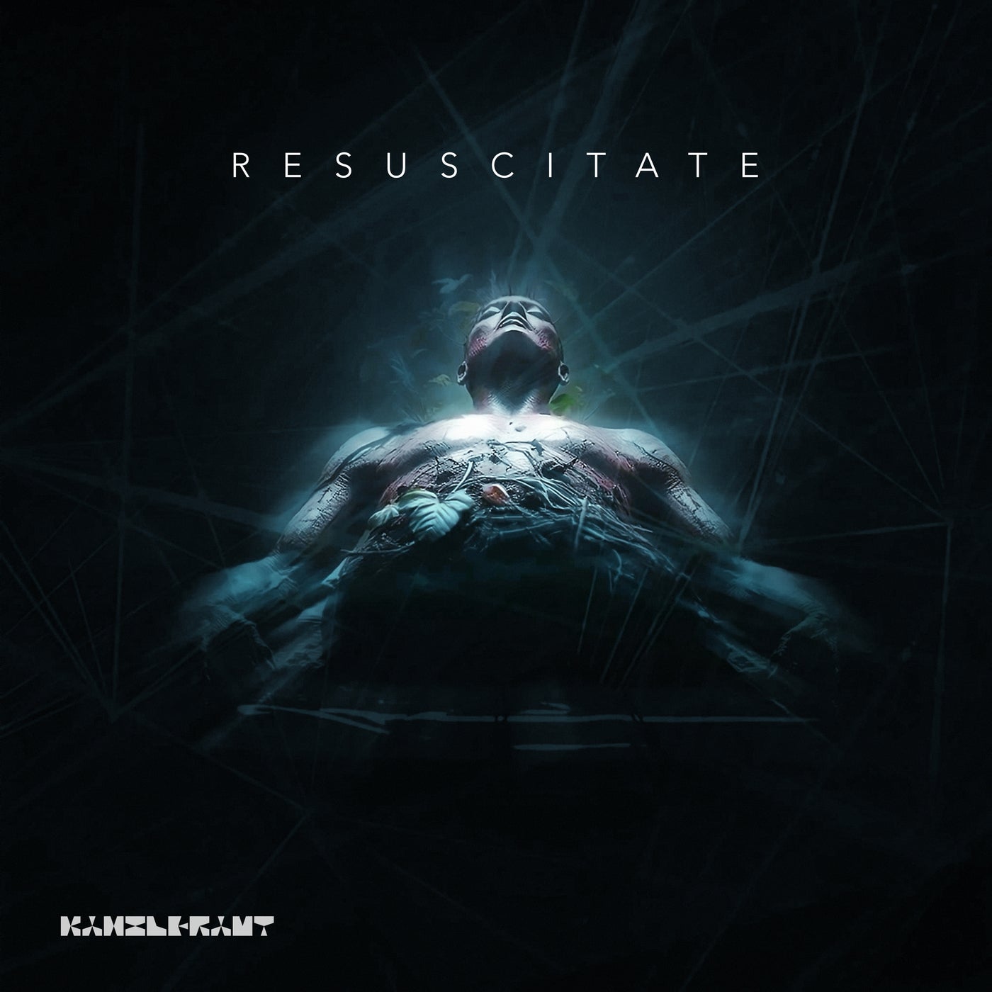 Cover - Heiko Laux, Ray Kajioka - Resuscitate (Original Mix)