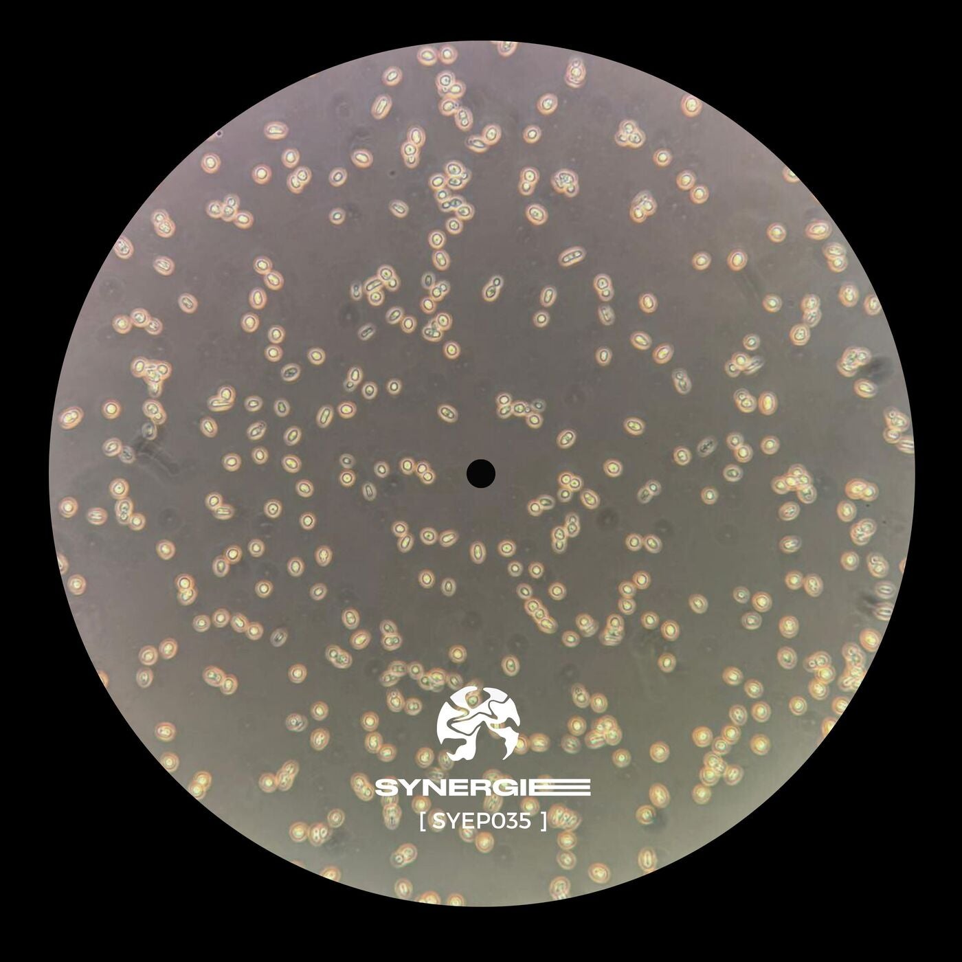 Cover - Iceworld - No End in Sight (SYEP035)