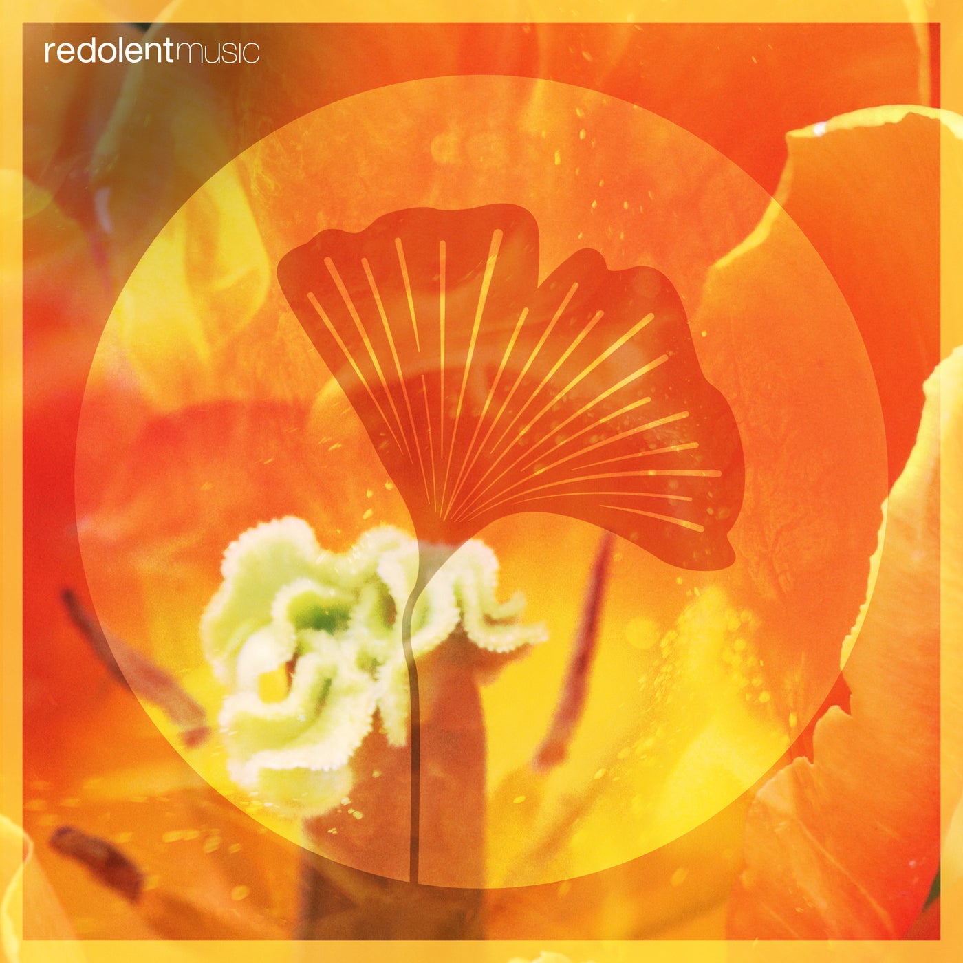 Cover - Oliver Gil, Claudia León - Loco Morocco (DJ CHUS Remix)