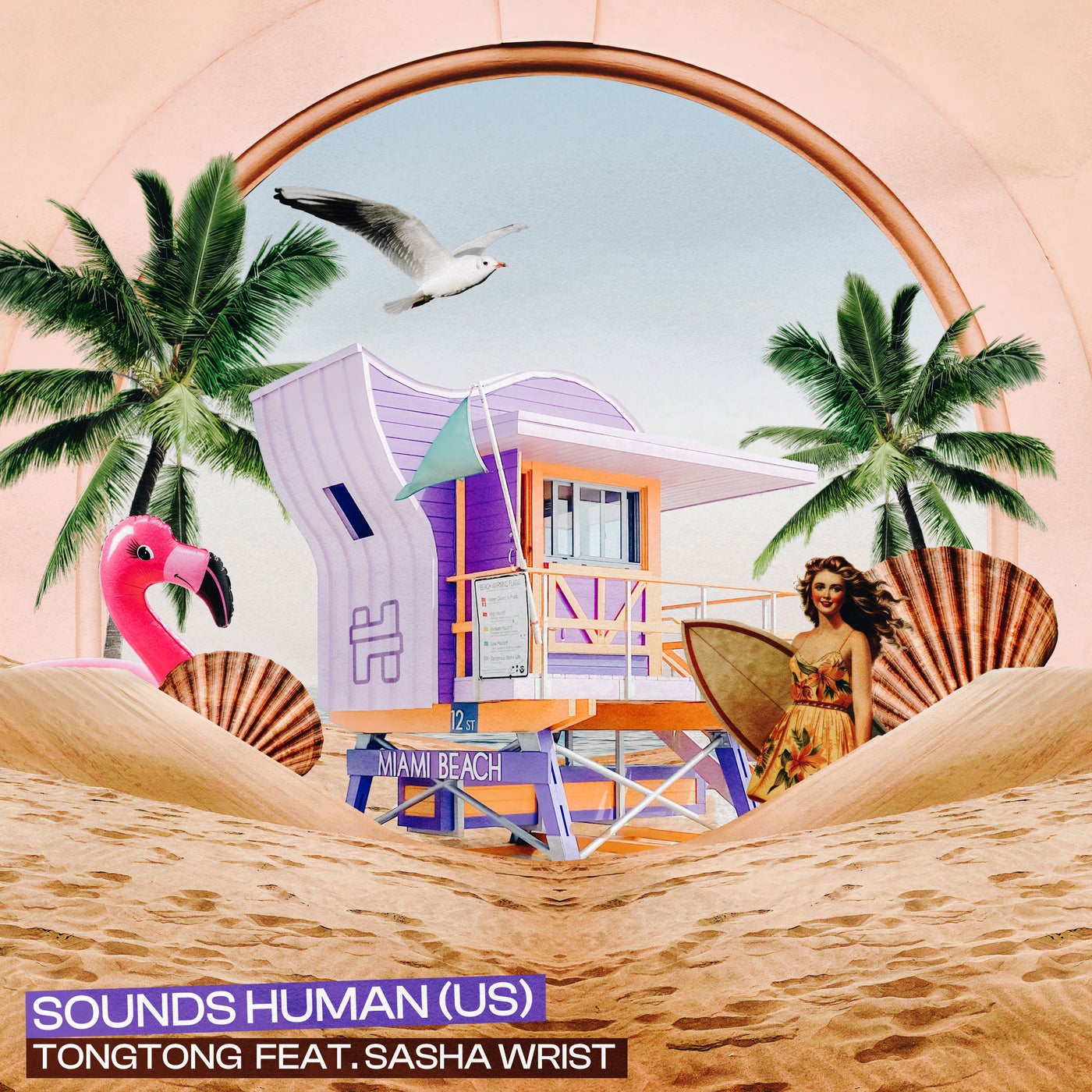 Cover - Sasha Wrist, Sounds Human (US) - TongTong (Original Mix)