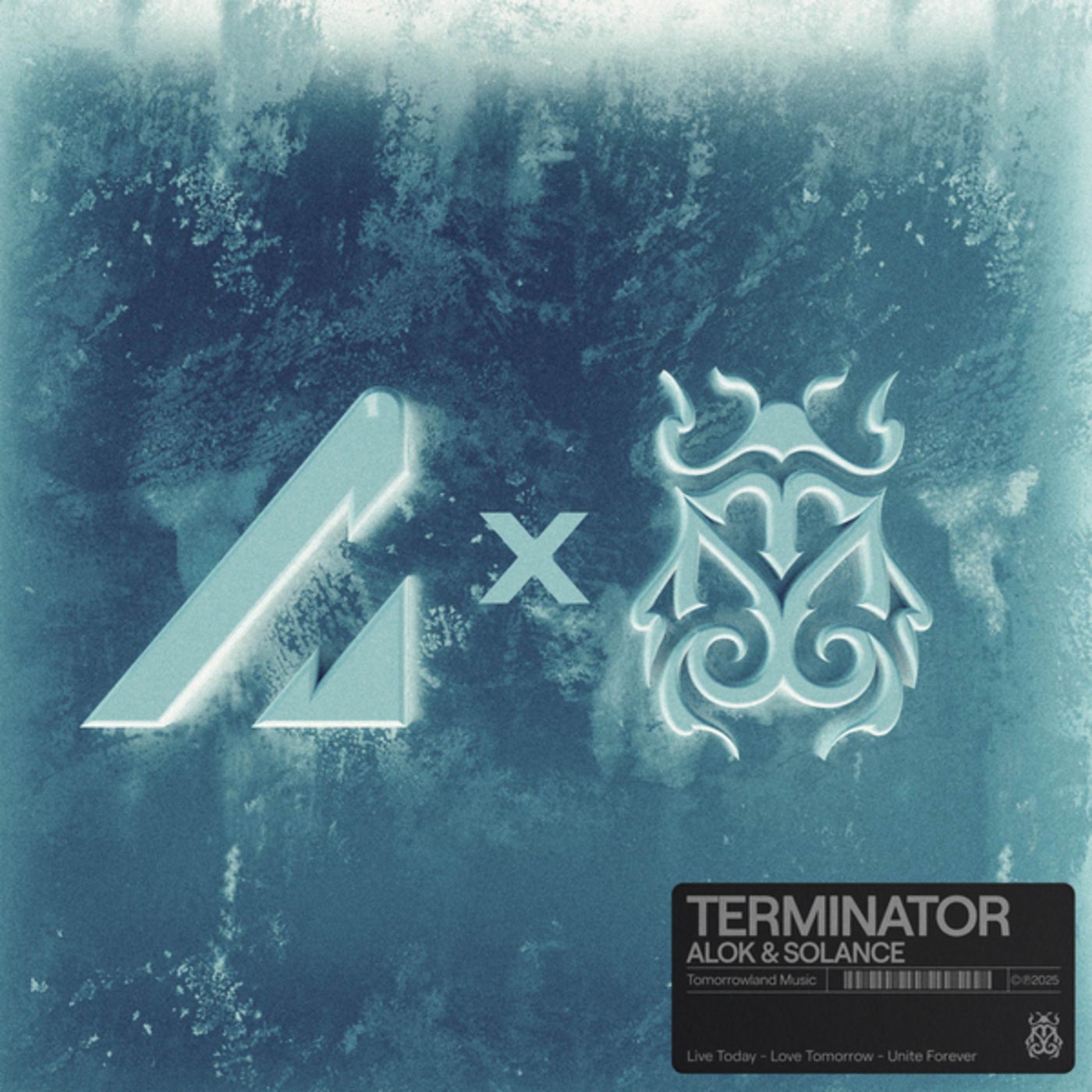 Cover - Alok, SOLANCE - Terminator (Original Mix)