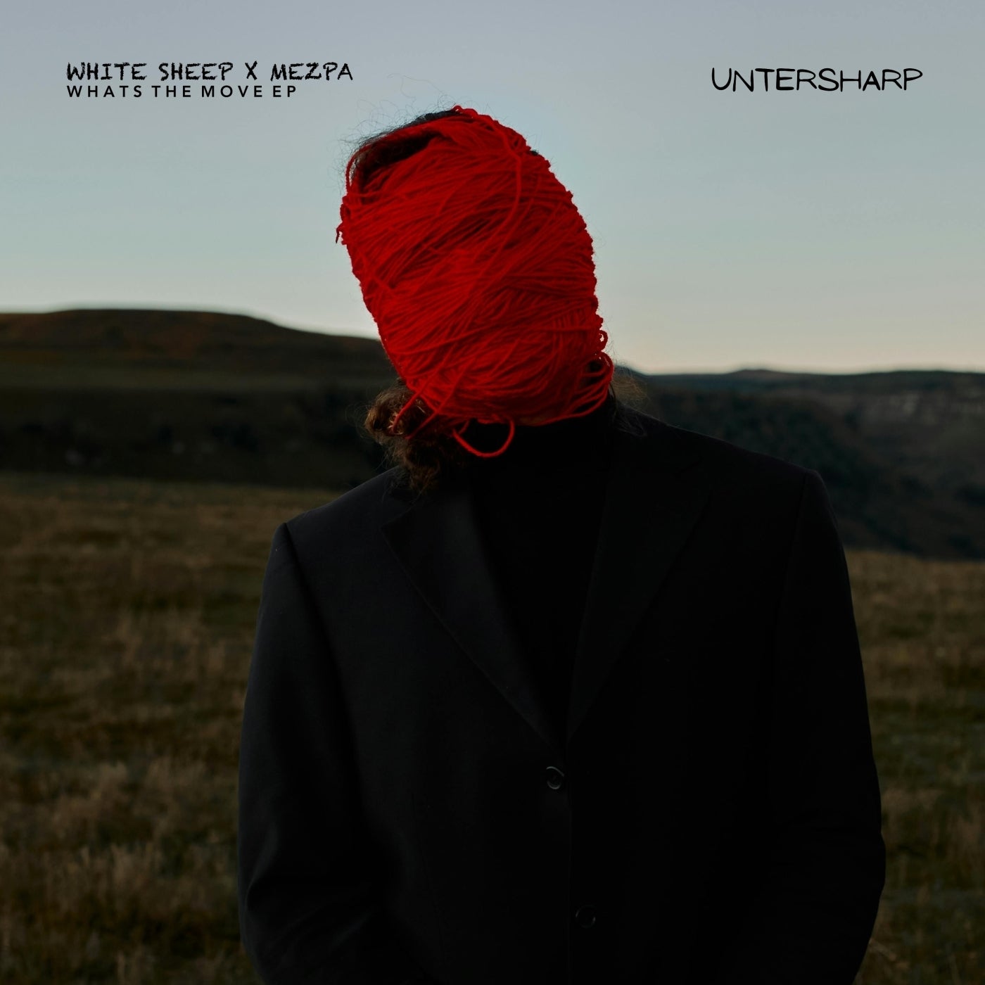 Cover - White Sheep, MEZPA - What's the Move (Original Mix)