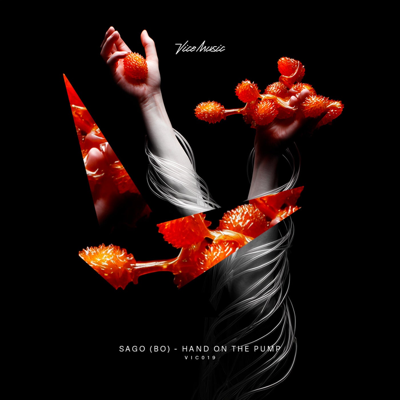 Cover - SAGO (BO) - Hand On The Pump (Original Mix)