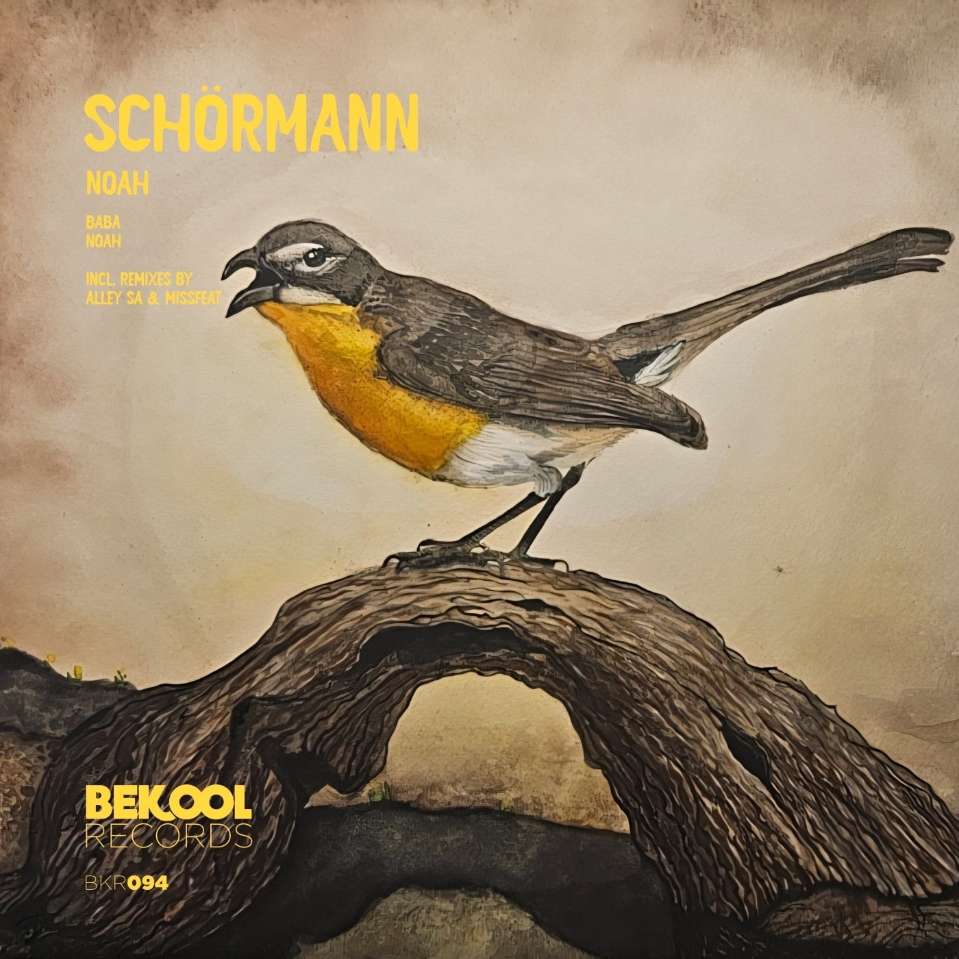Cover - Schormann - Noah (Alley SA Remix)