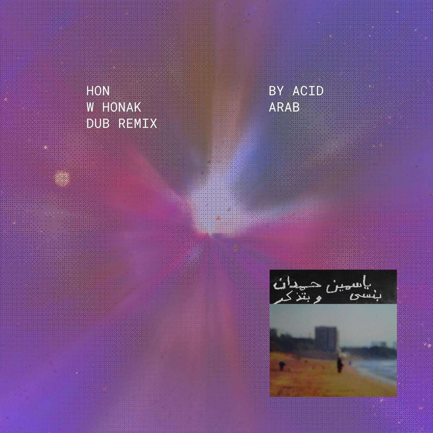 Cover - Yasmine Hamdan, Acid Arab - Hon w Honak ??? (Acid Arab Dub Remix)