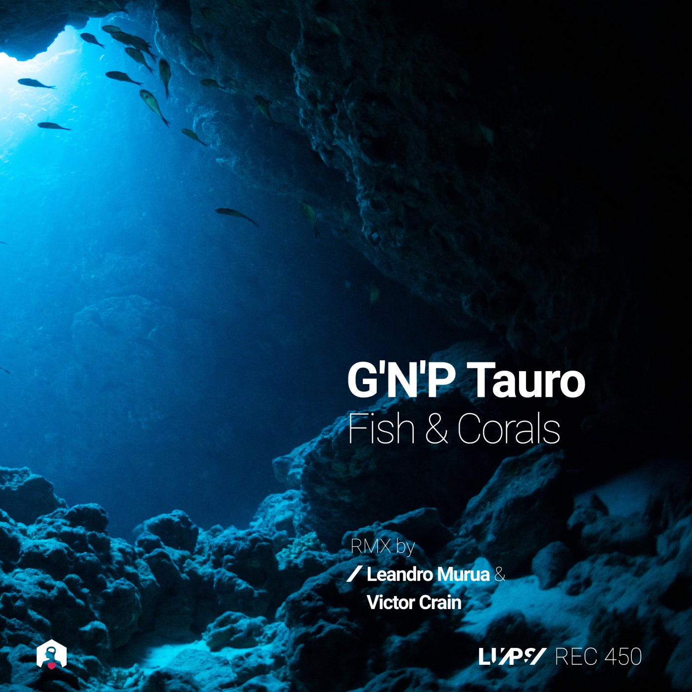 Cover - G 'N' P Tauro - Zebrasoma (Leandro Murua Remix)