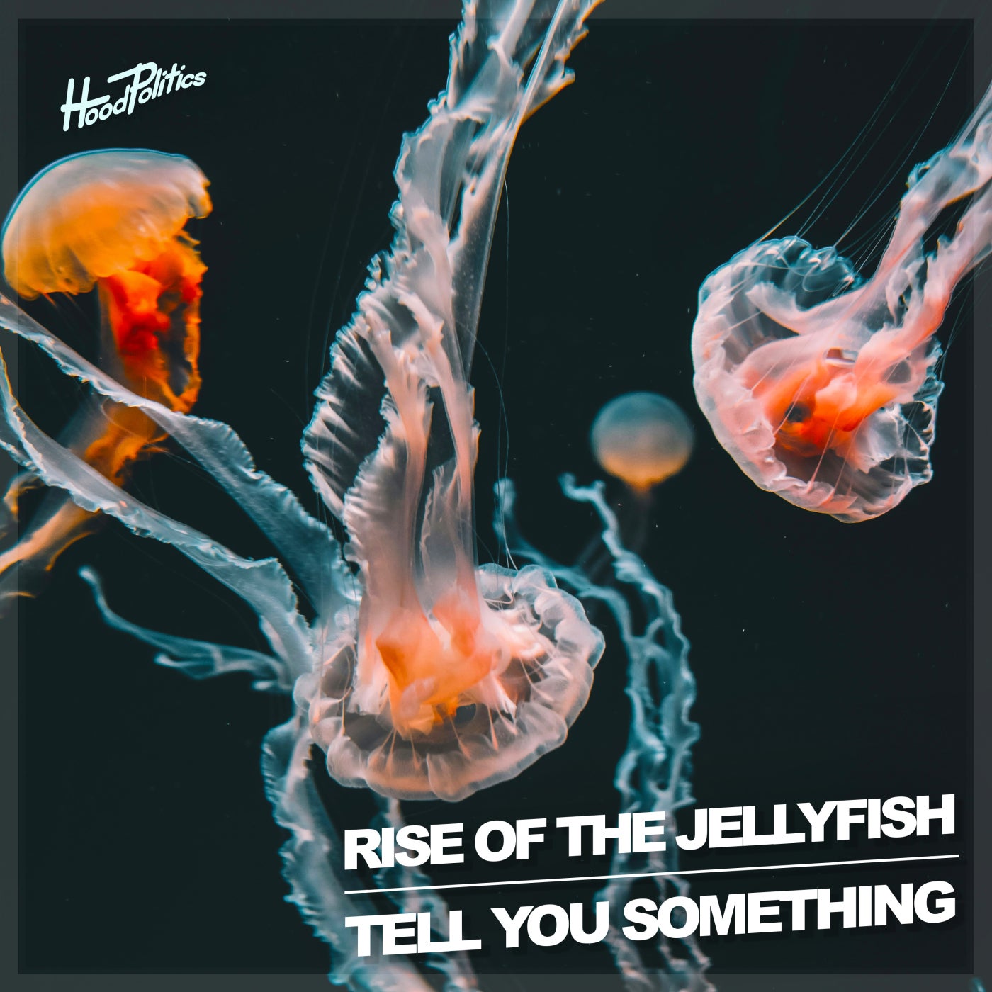 Cover - Rise Of The Jellyfish - Tell You Something (Extended Mix)