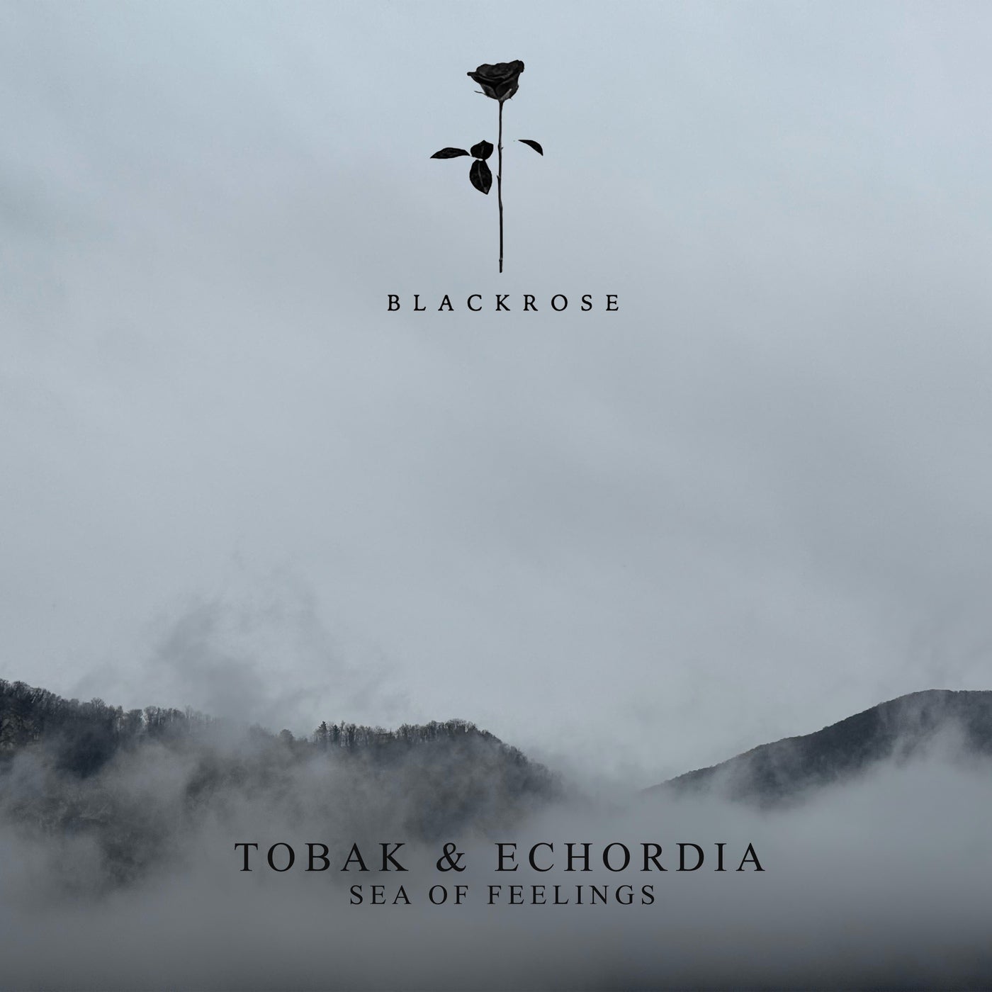Cover - TOBAK, Echordia - Sea of Feelings (Original Mix)