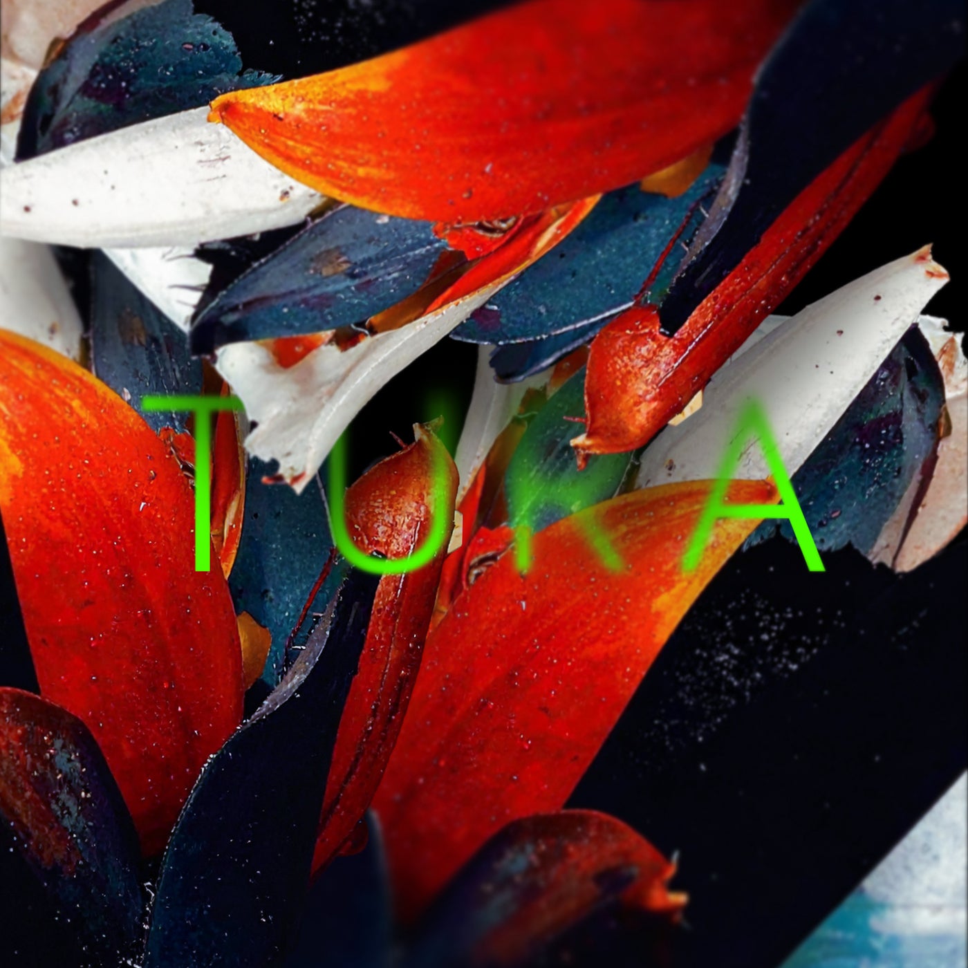 Cover - Schlepp Geist, Motip White - Remote Noise (Original Mix)