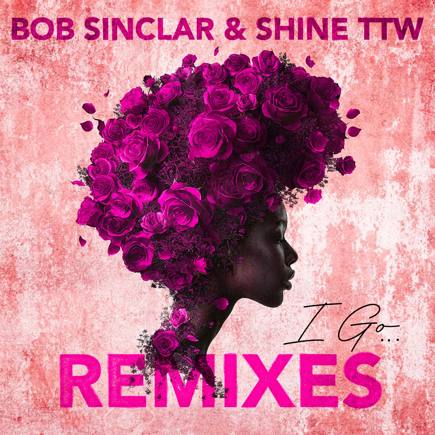 Cover - Bob Sinclar, Shine TTW - I Go (Paradise Extended Remix)