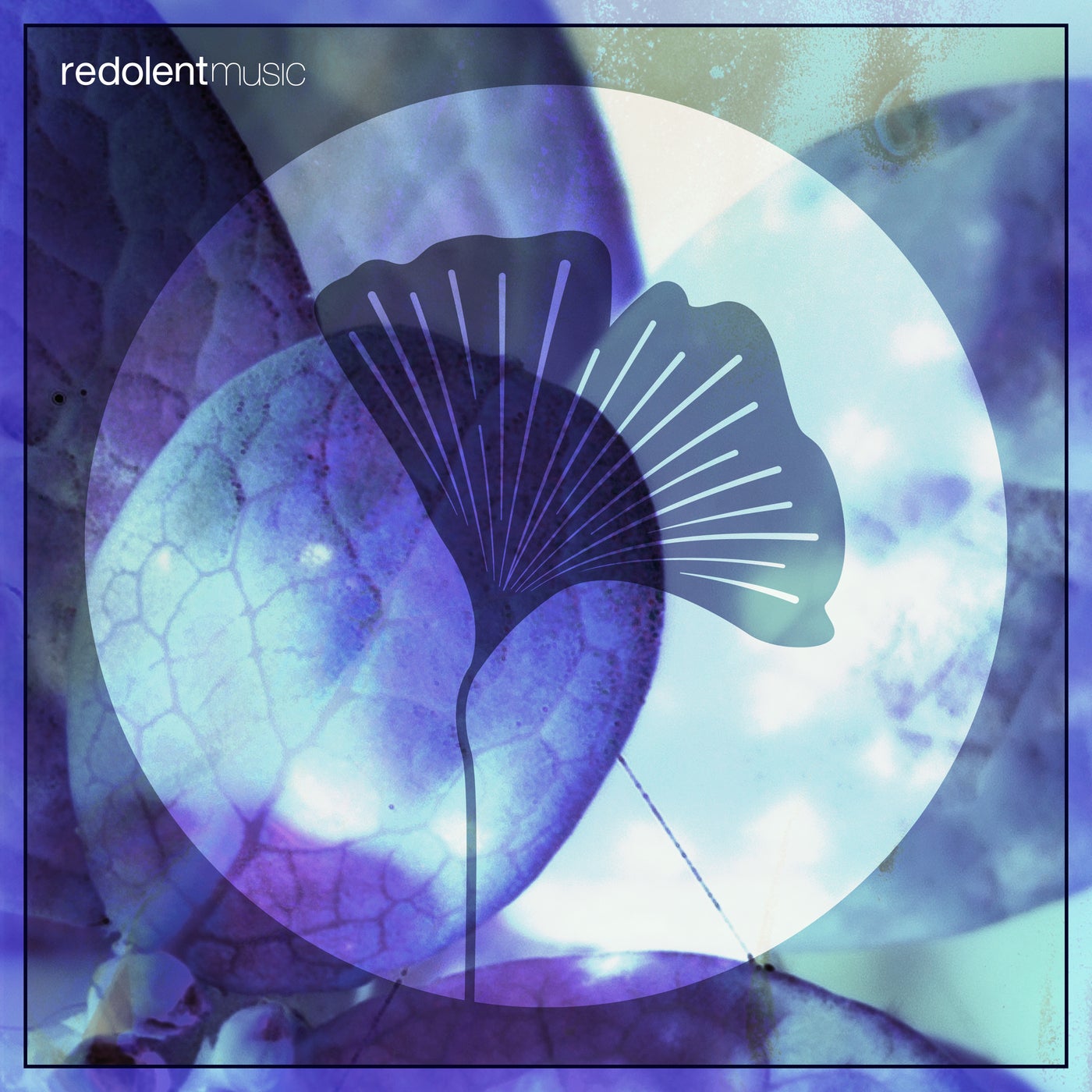 Cover - Bebbo - Botanica (Original Mix)