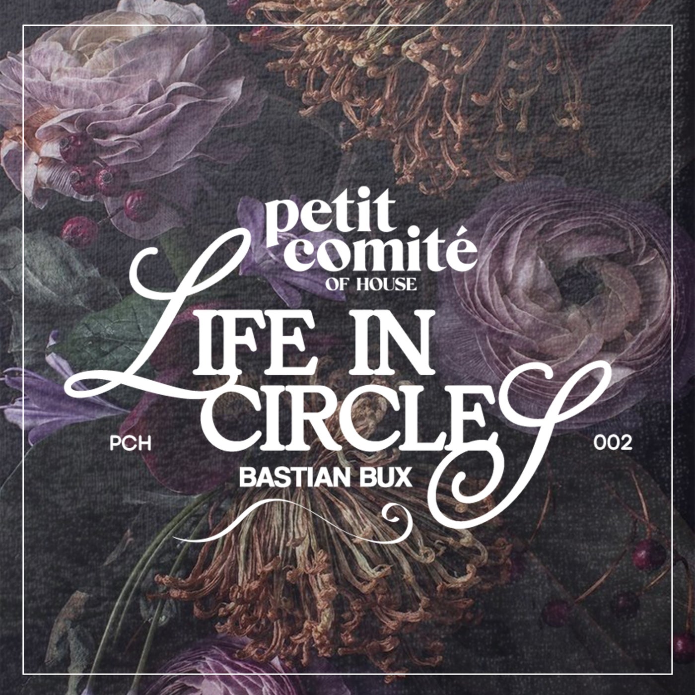 Cover - Bastian Bux - Life In Circles  (Original Mix)