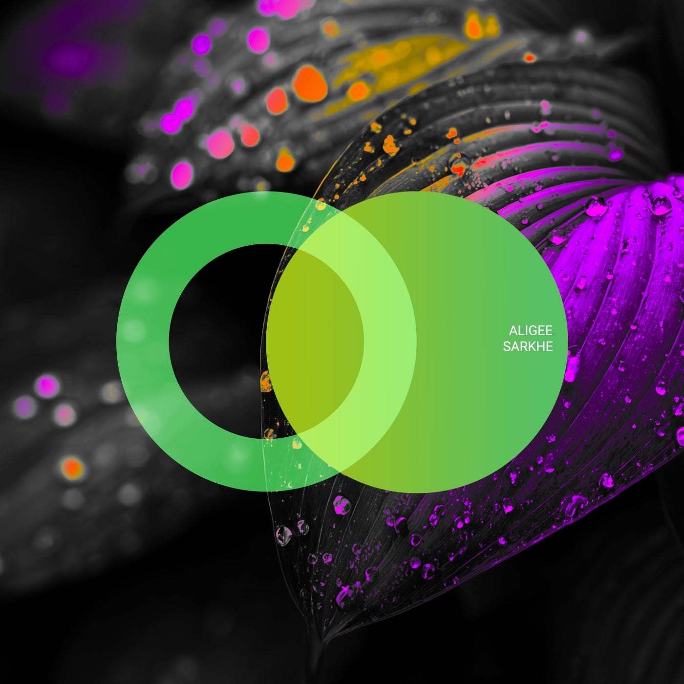 Cover - ALIGEE - Sarkhe (Original Mix)